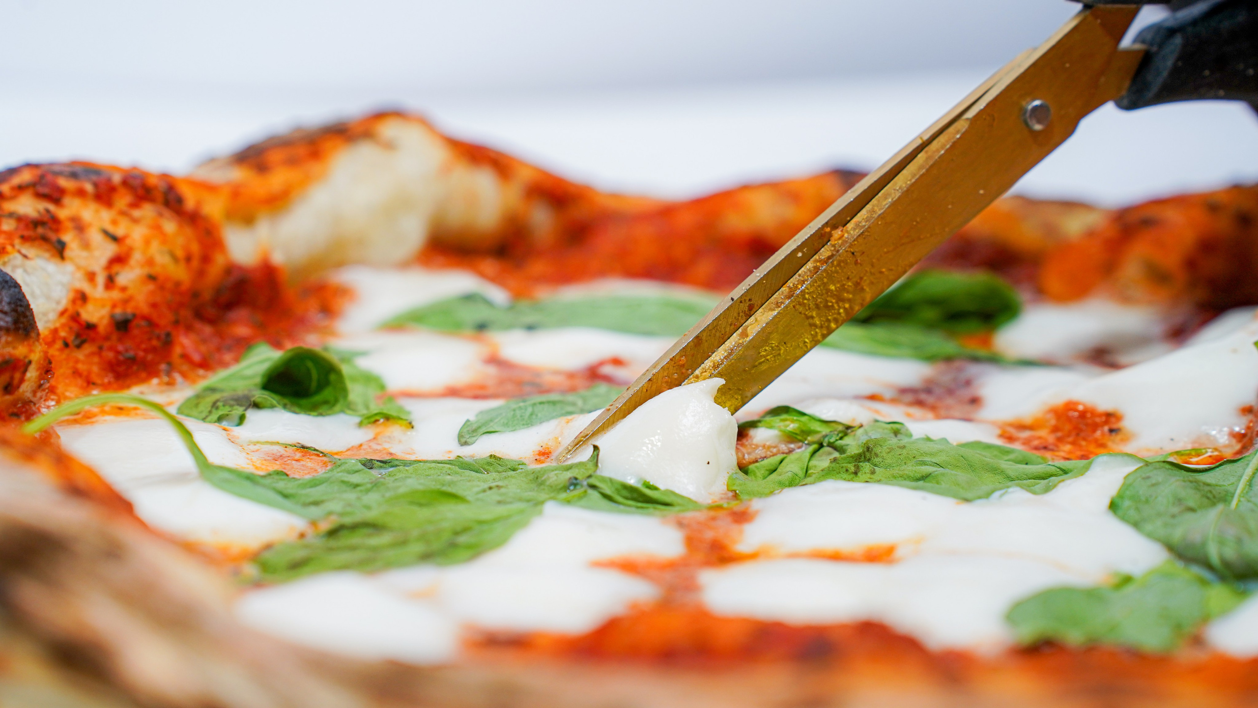 צילומי אוכל. יותם שחר צילום ועריכה