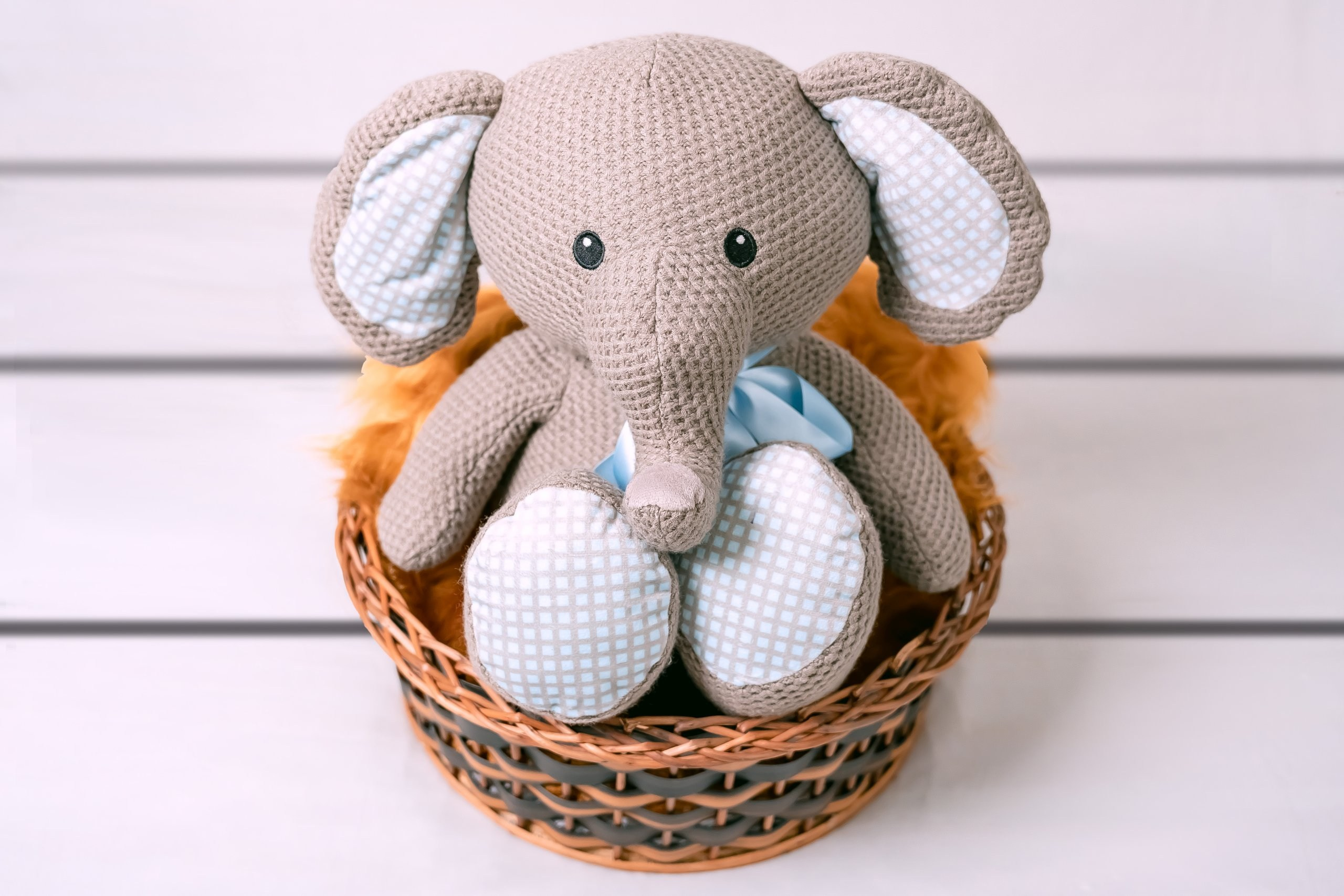 Gael — 30/12/2023. Luiz Medeiros Produções