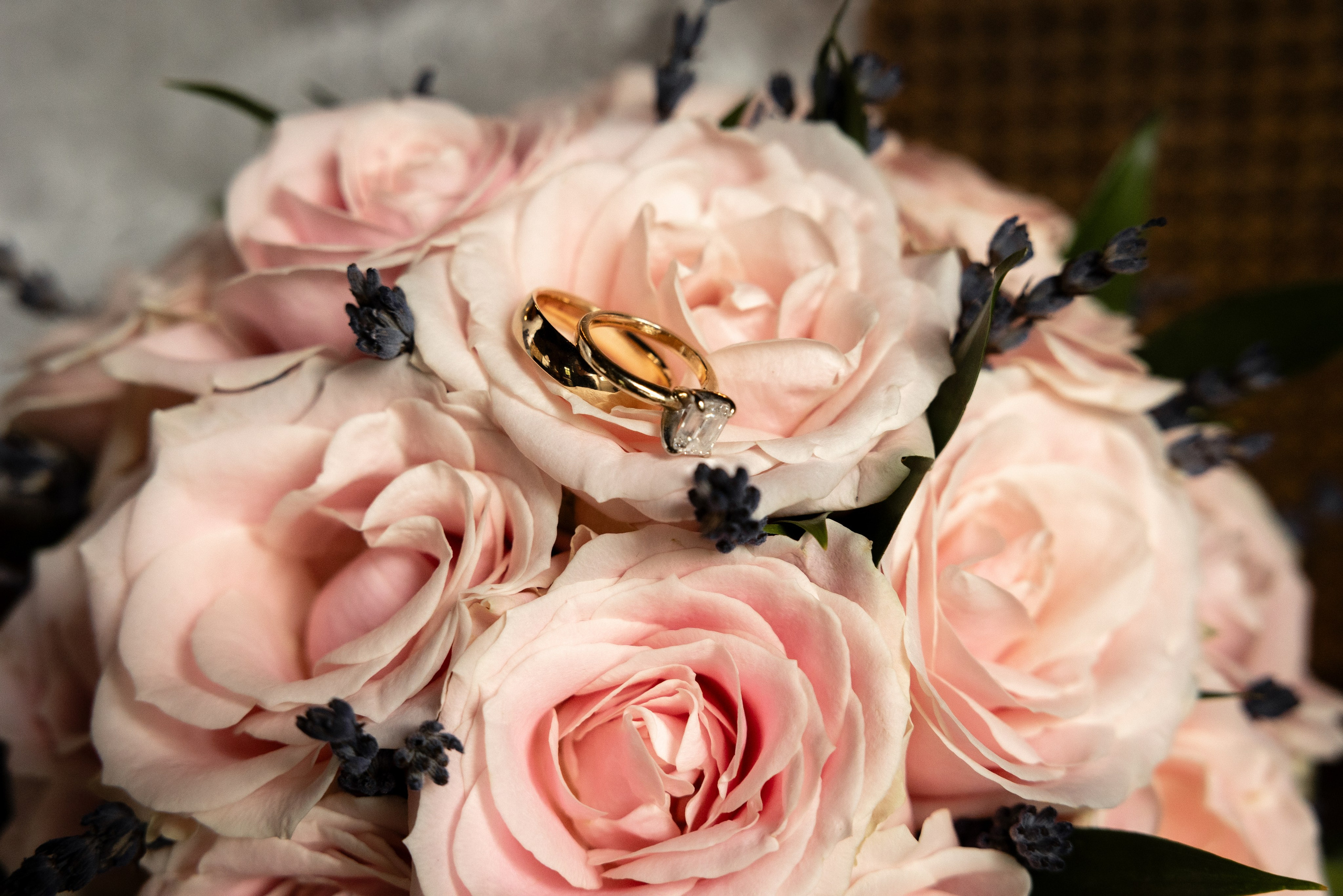 Château La Commanderie, Aude. Eugénie Smirnova — Photographe à Toulouse et dans le Sud-Ouest