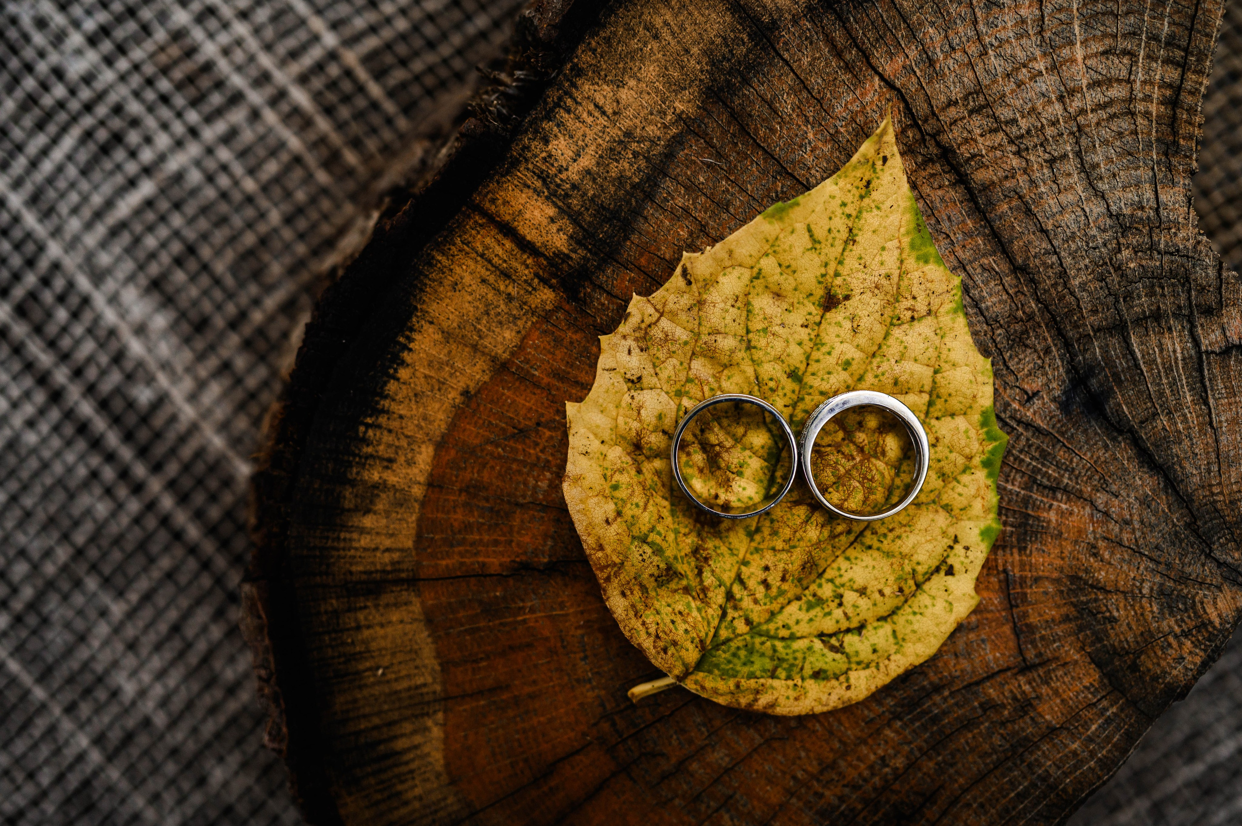 Daniel & Ioana | Trash The Dress. Erik Bagy | Fotograf de Nuntă