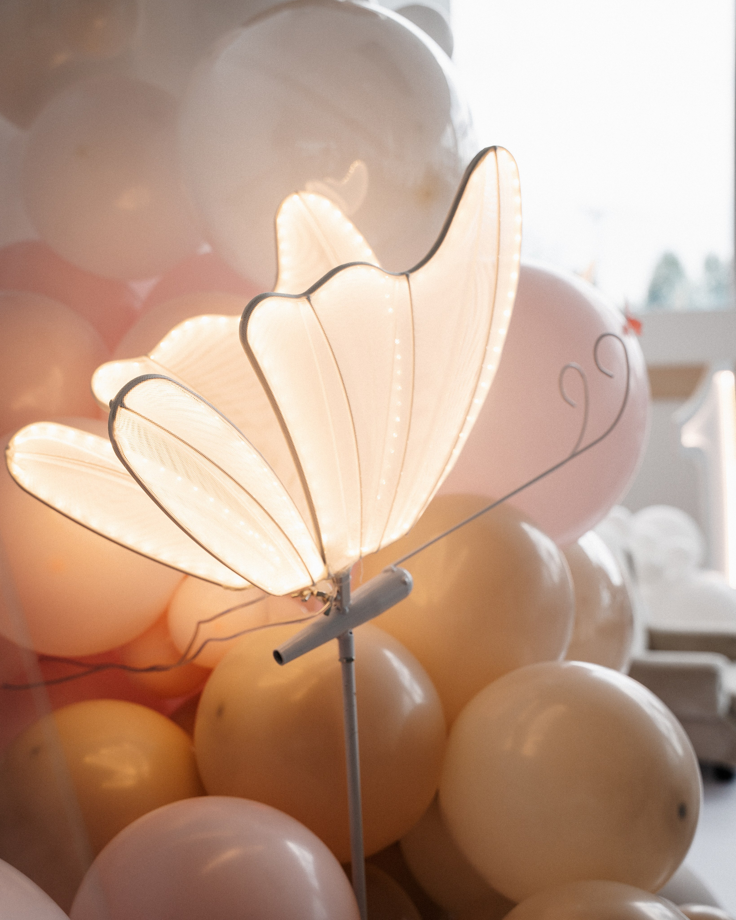 PORODIČNE PRIČE. Profesionalna Fotografija Beograd — Staša Komatina