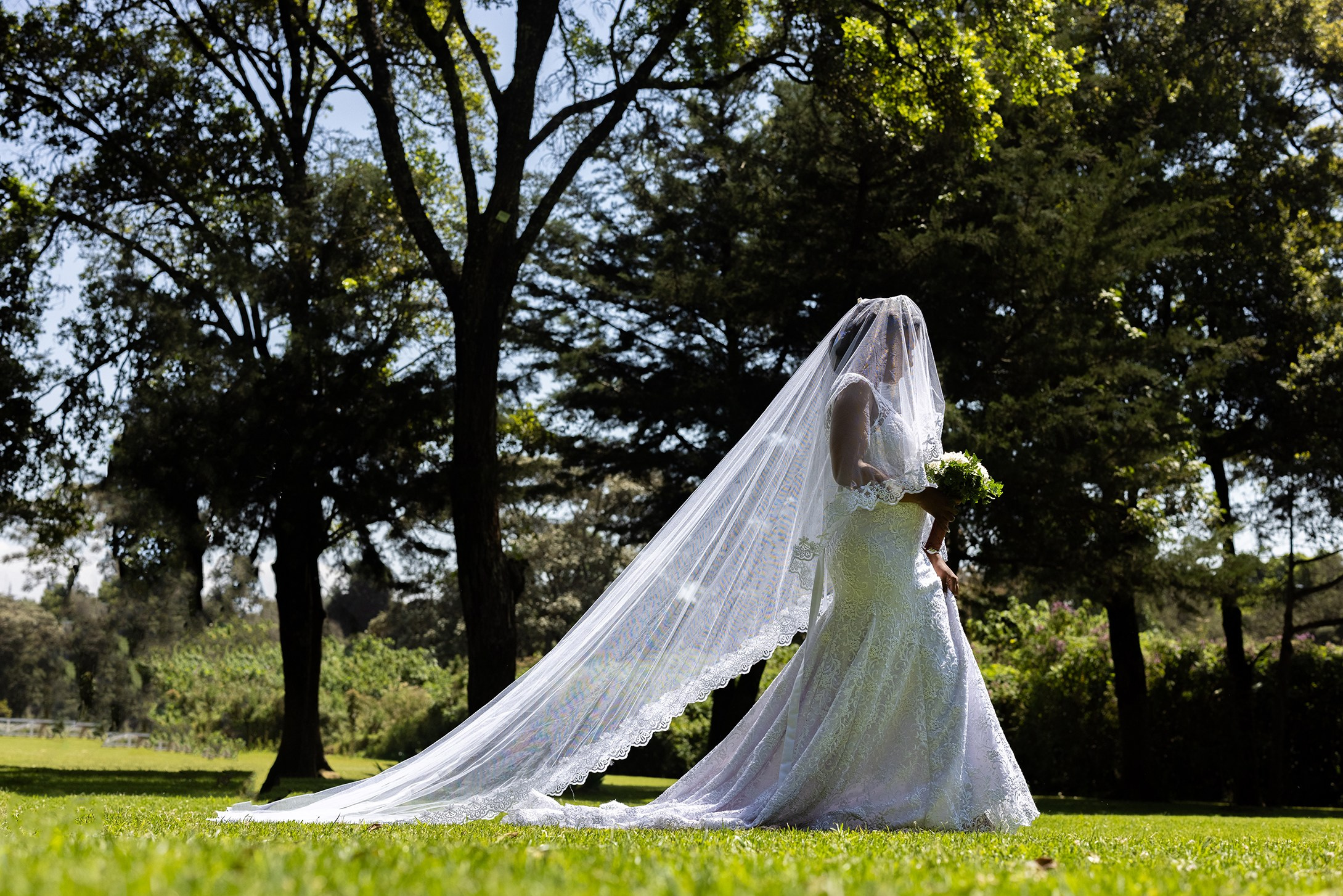 A bride walks in a lush green garden with her veil and dress being the center-piece. Wedding photography in Naishola gardens