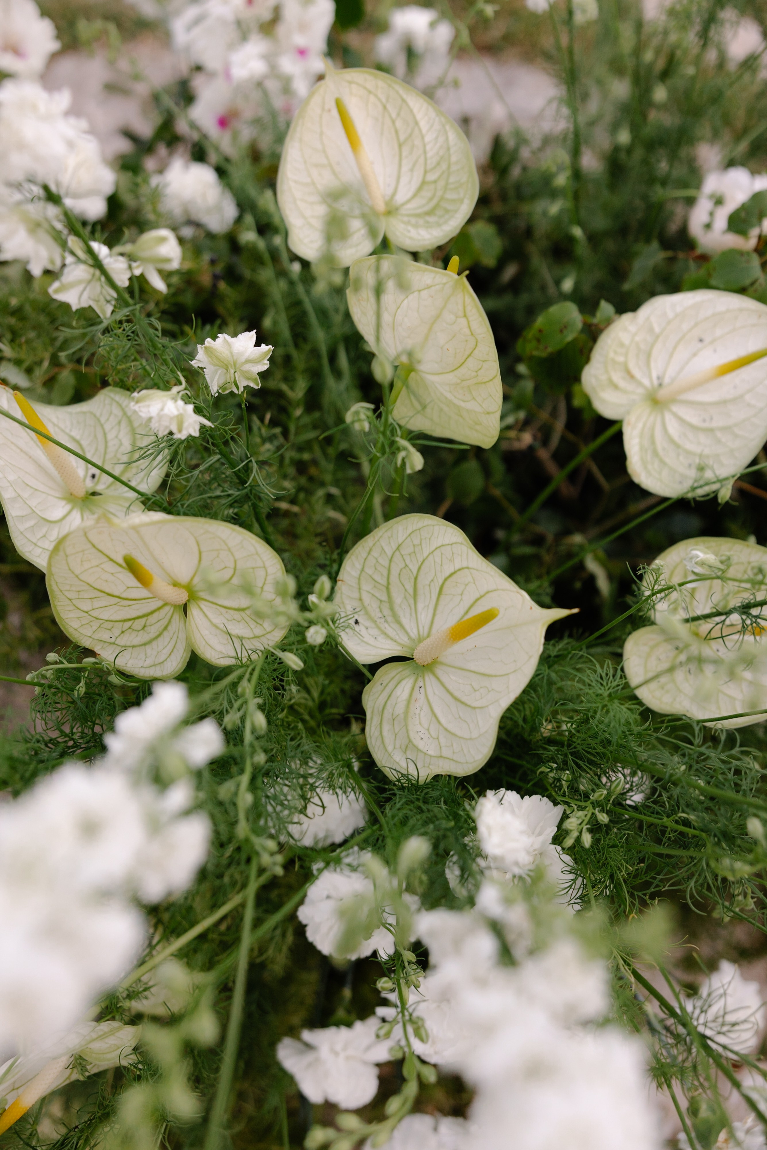 1. Wedding photographer Italy