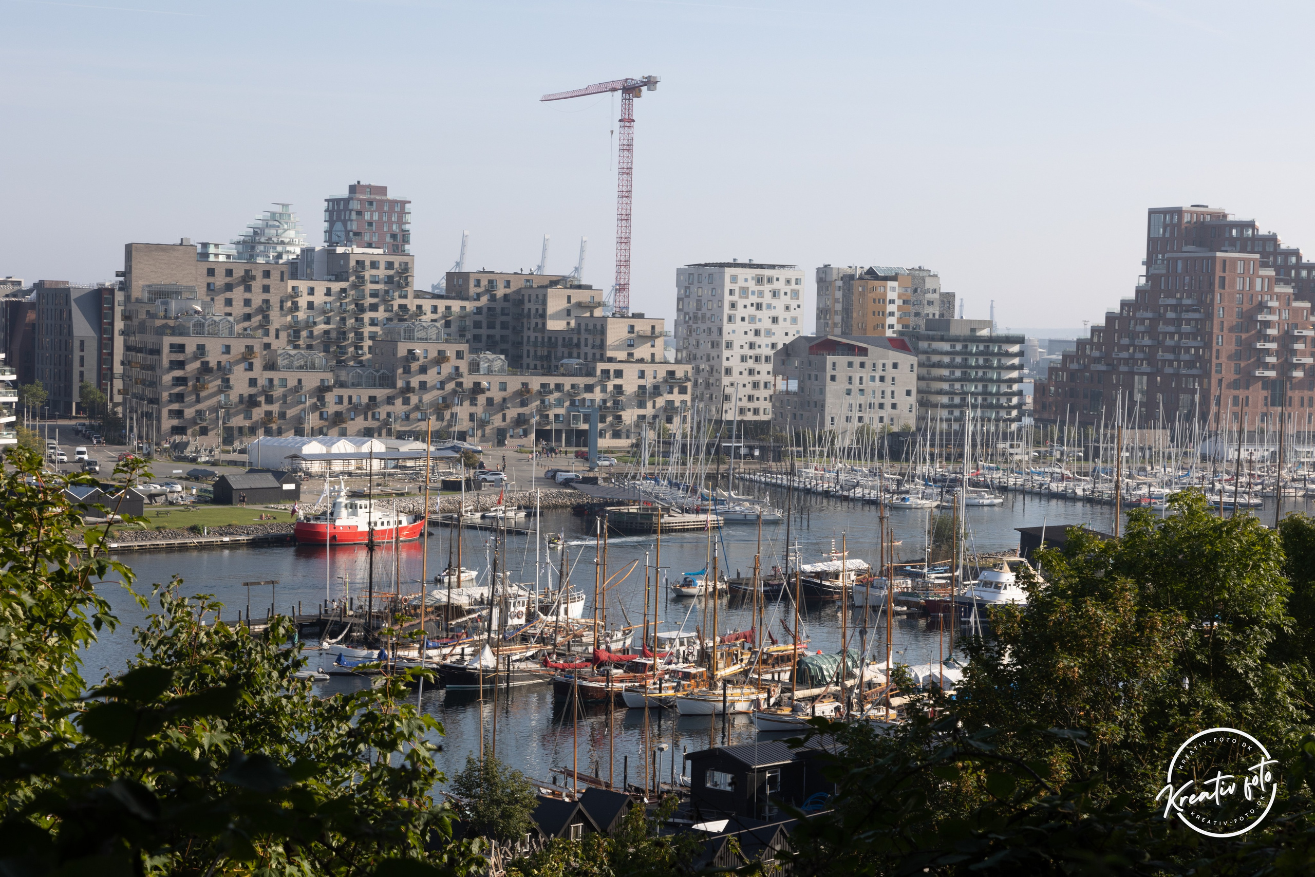 Sommer. Fotograf Aarhus | Portrætfoto Århus | Flotte billeder