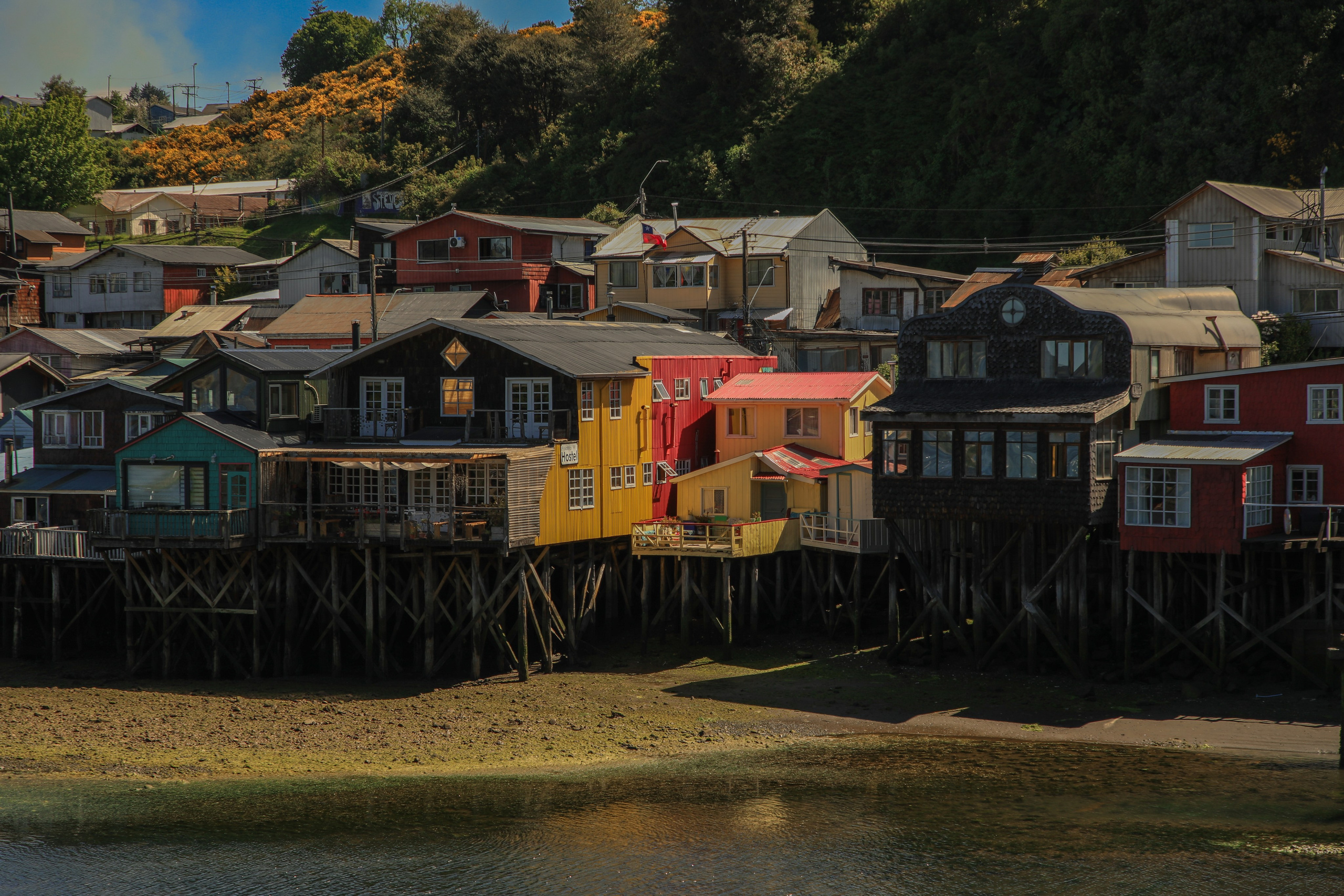 PATAGONIE. Photographe Karen Tatevosian