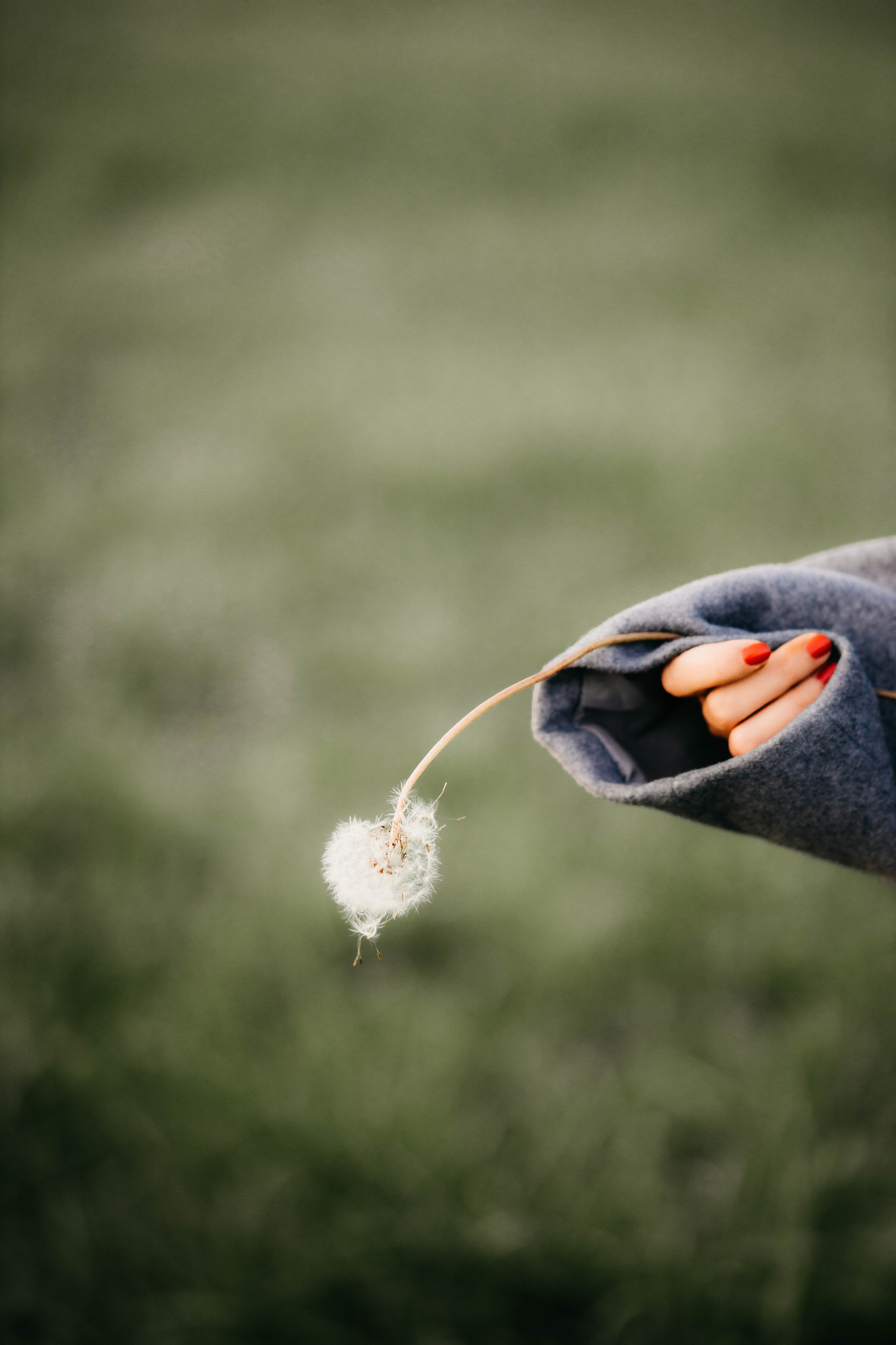 Maria. Фотограф в Милане Анна Линник
