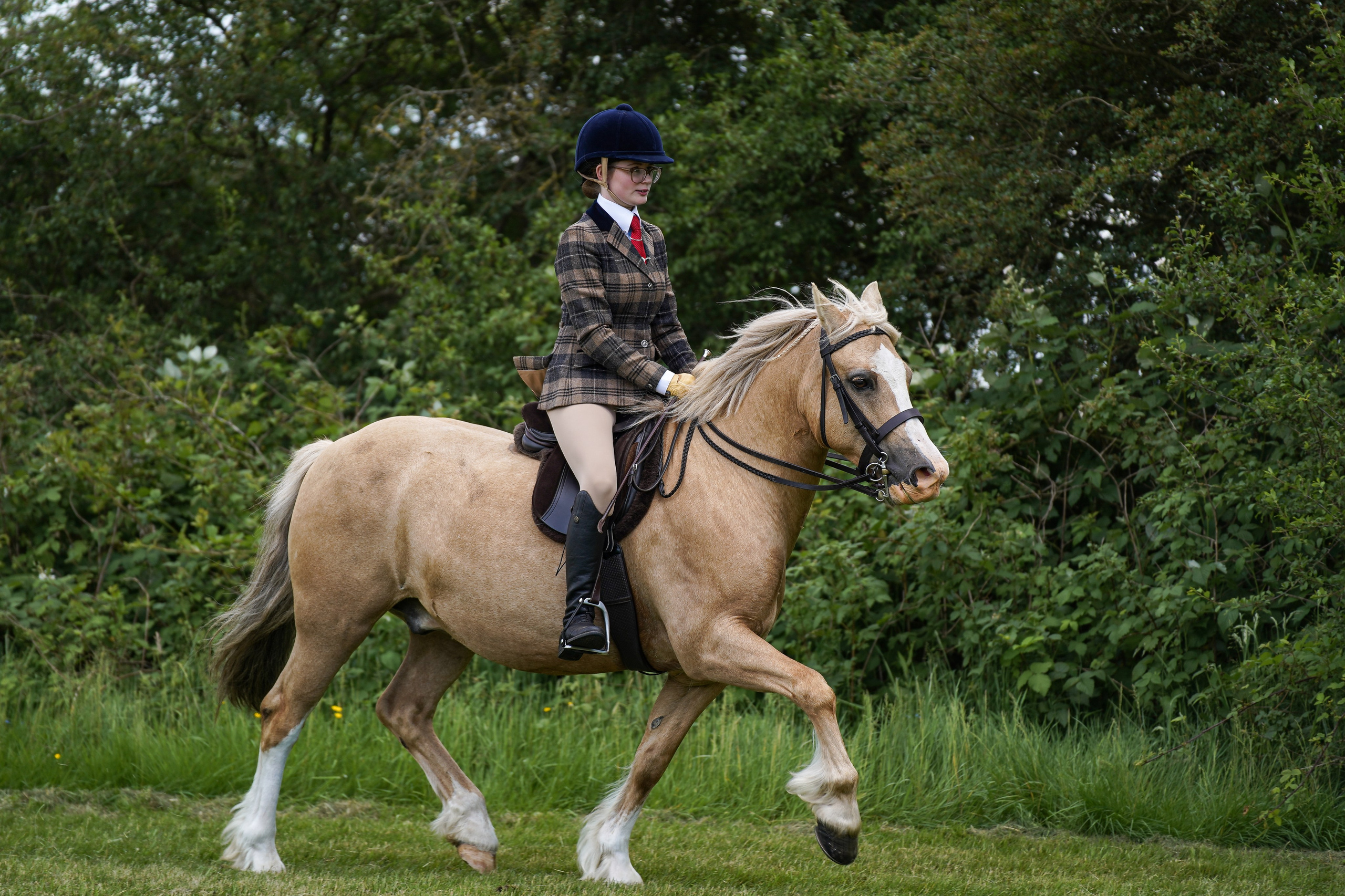 Showing. Leicestershire Equine Photography by El | Authentic Equine Portraits & Events
