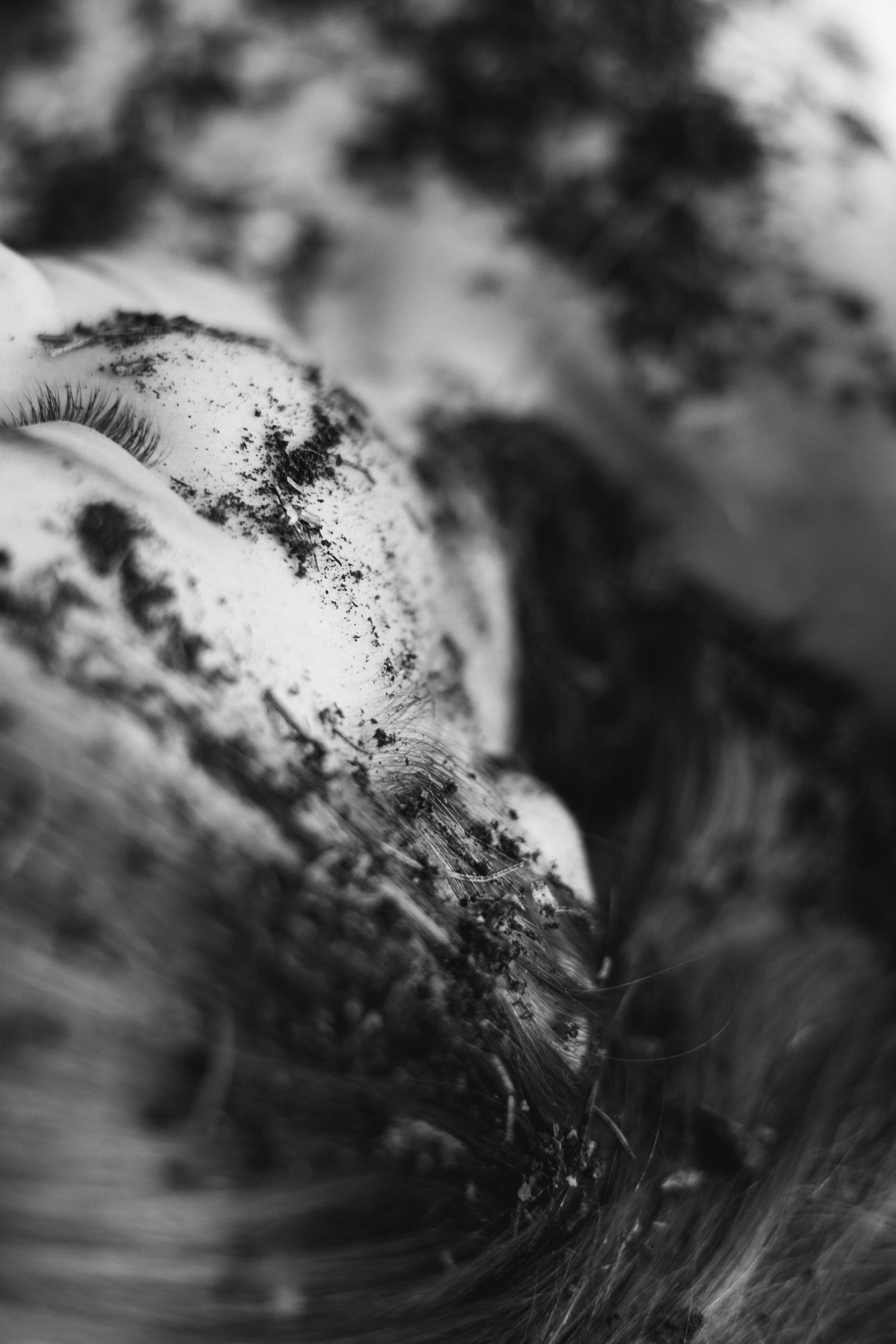 Lisa. Reflection on the war. Fotografin Marina Kravchuk