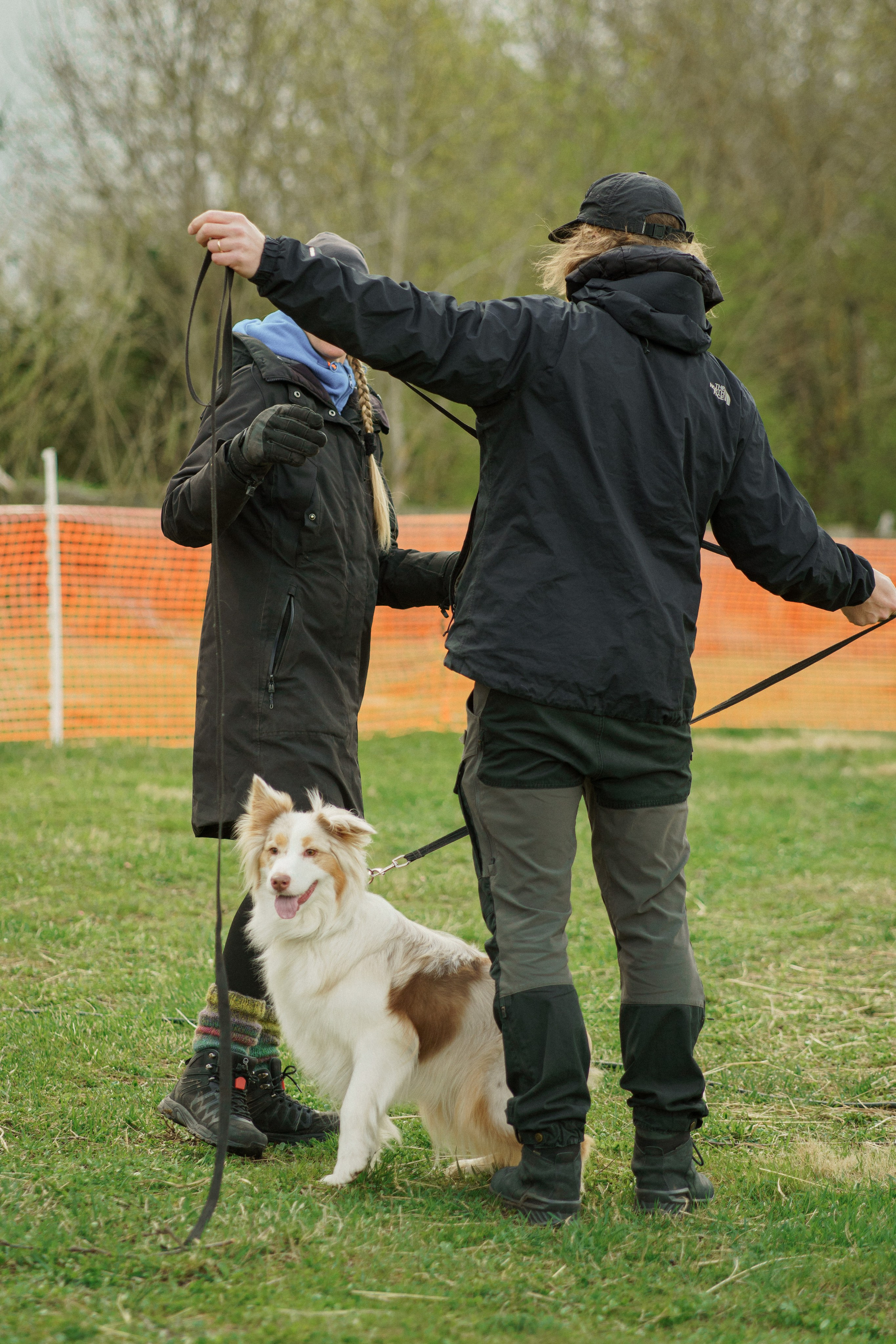 Herding Days, 26 apr. 2025. Kat Laisaar — Pet photographer in Tallinn