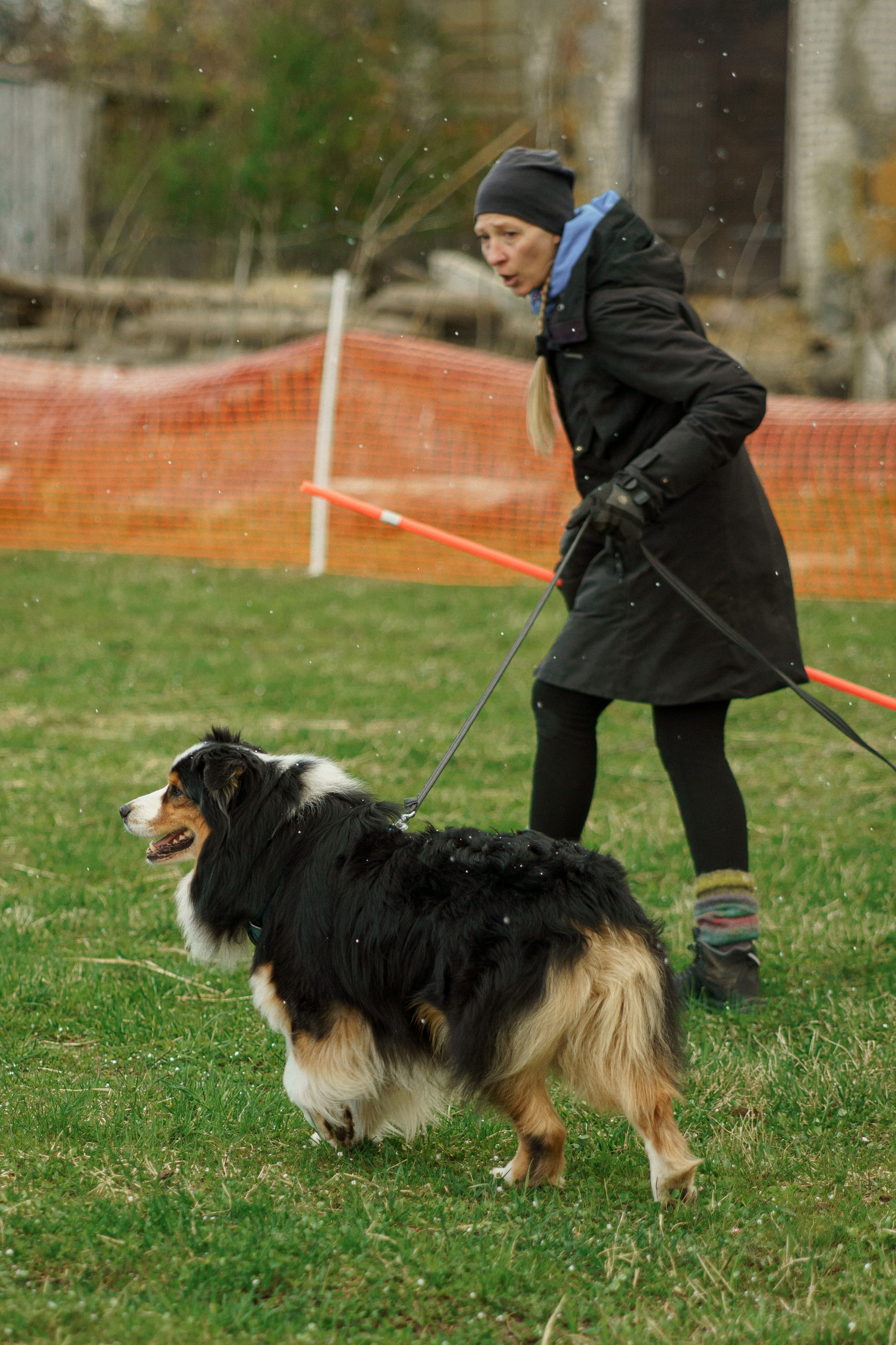 Herding Days, 26 apr. 2025. Kat Laisaar — Pet photographer in Tallinn