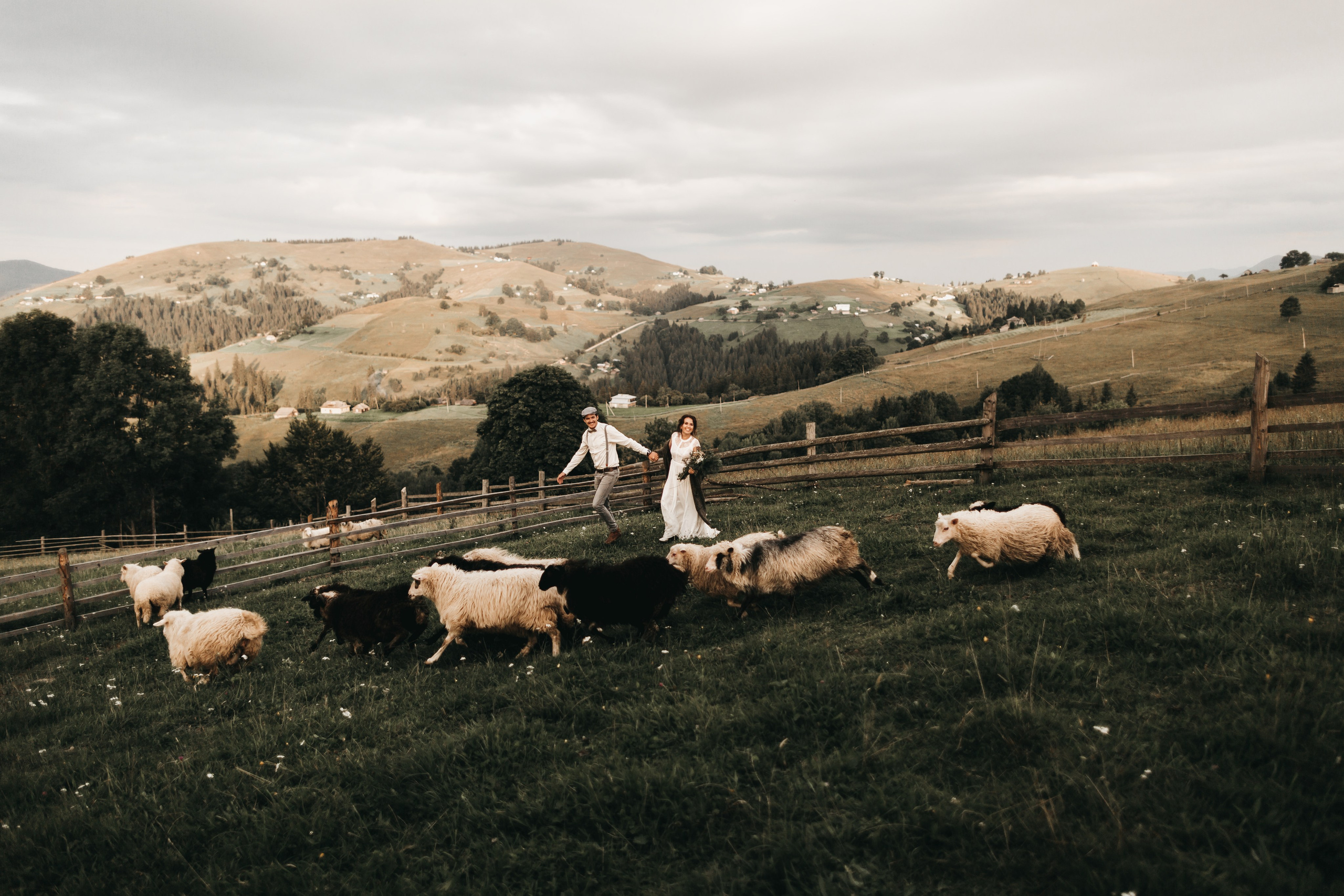 Mery & Alex. Wedding and Family Photograph