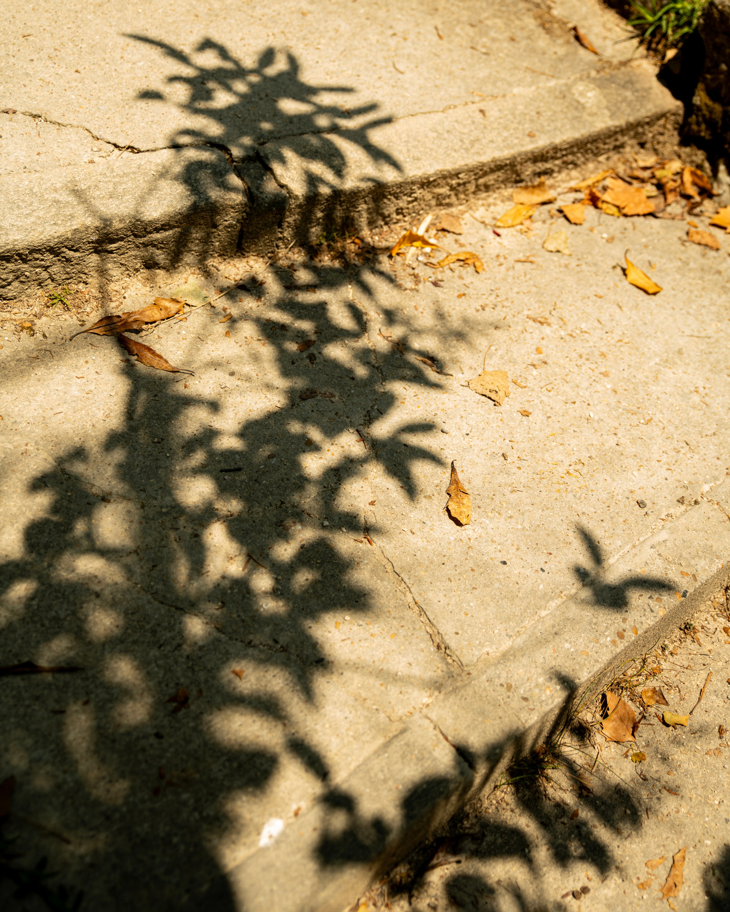 MELANY in AVEIRO. Anastasiia Antoniuk portrait, family and couple photographer, Portugal