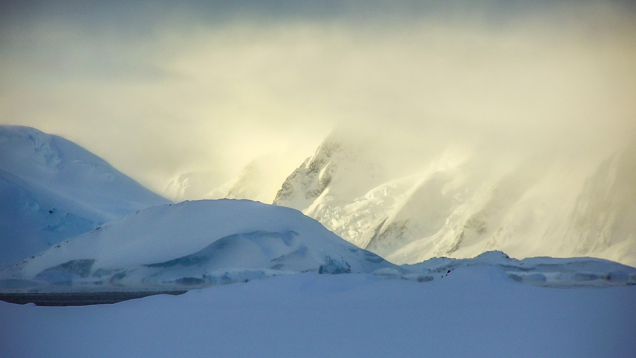 ANTARCTICA / 2004. Reportage concert portrait photography in the San Francisco Bay Area