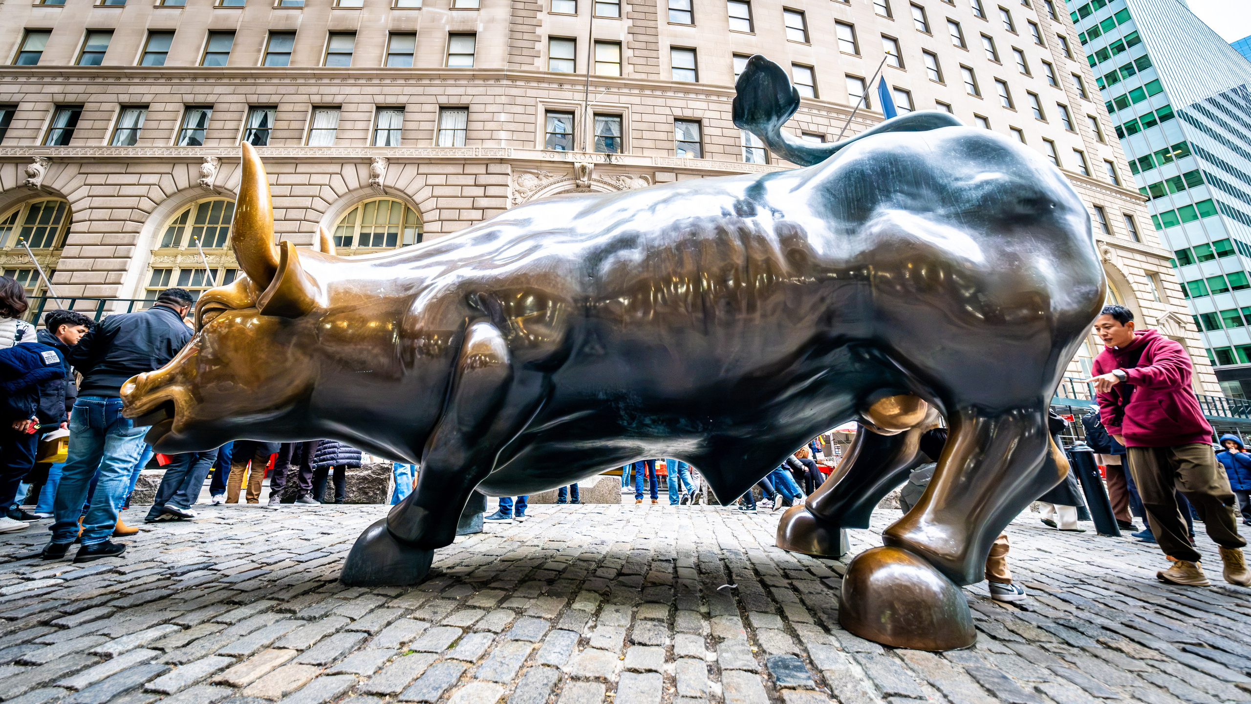 NEW YORK / 2025. Reportage concert portrait photography in the San Francisco Bay Area