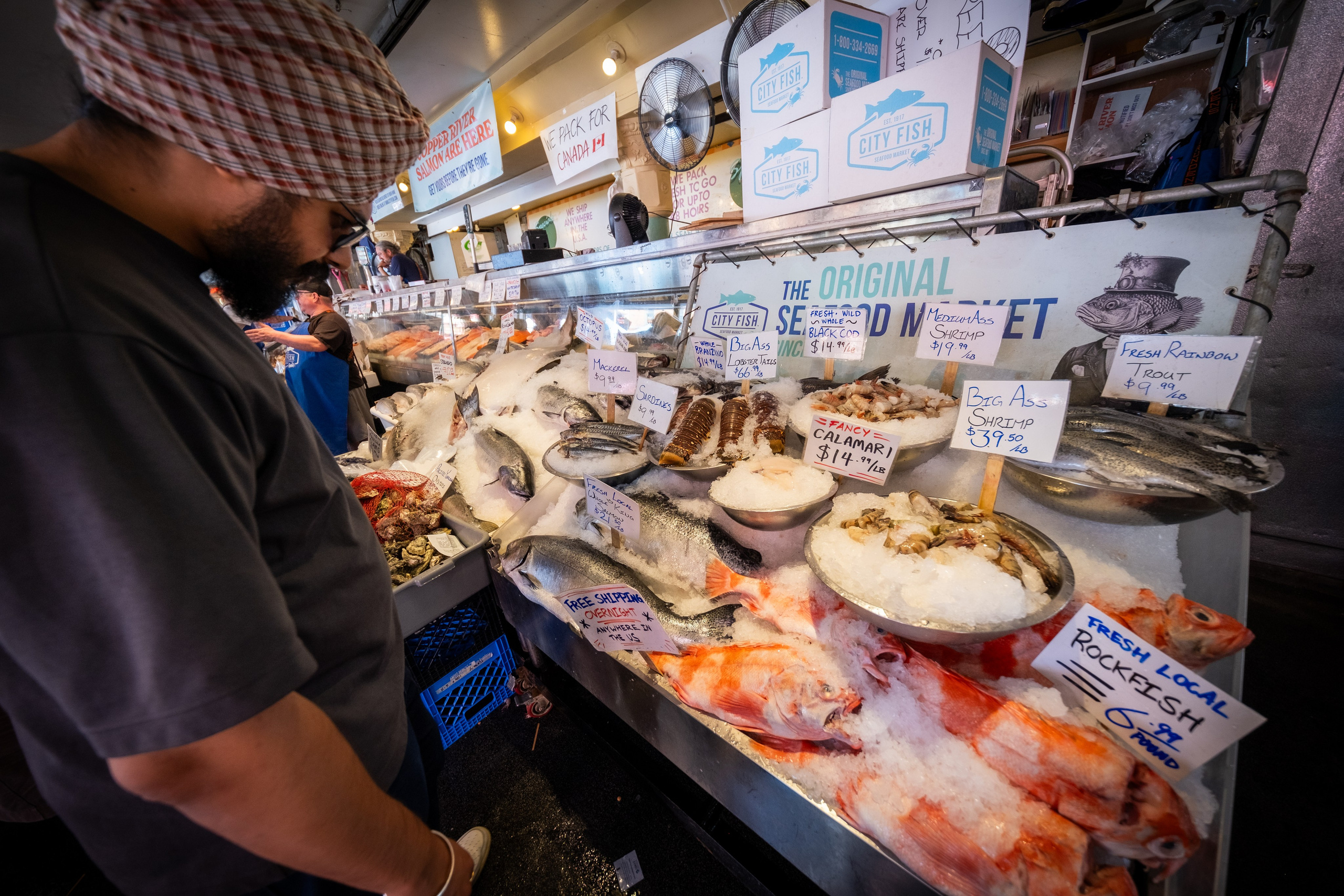 WASHINGTON / SEATTLE. Reportage concert portrait photography in the San Francisco Bay Area