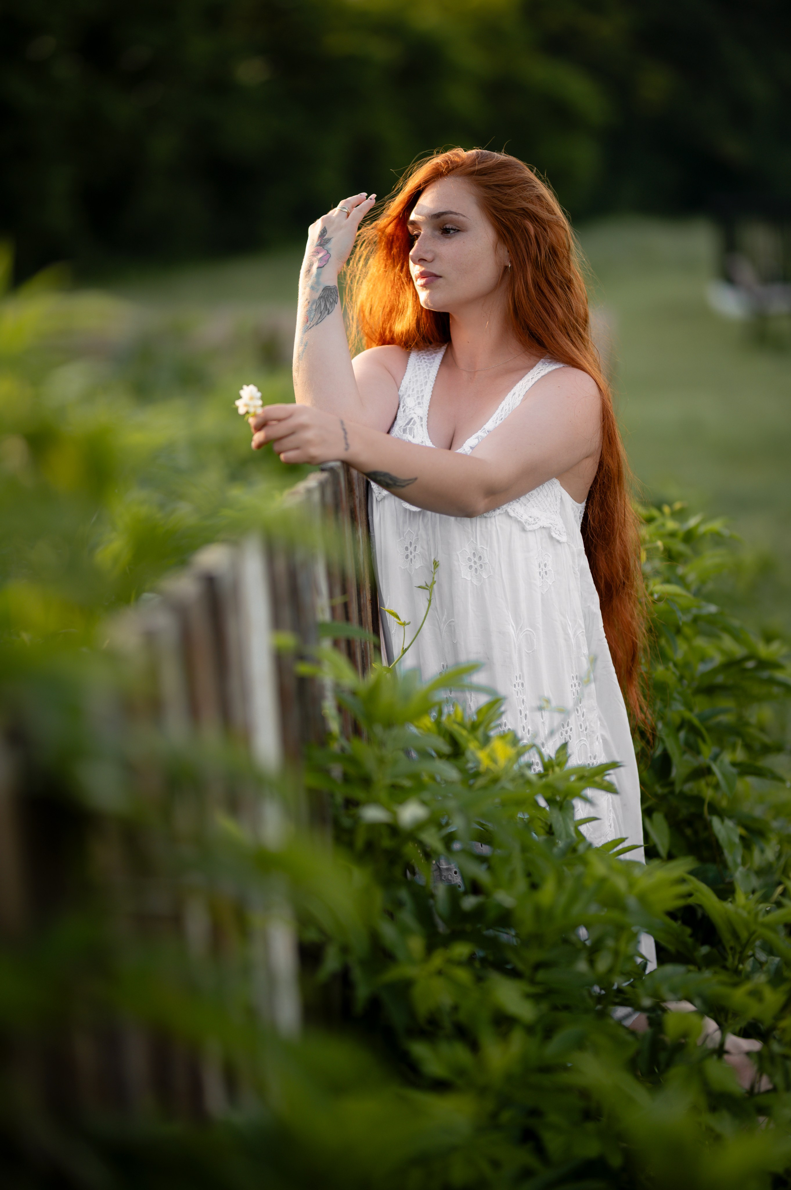 Poveste pe mal de râu. Home