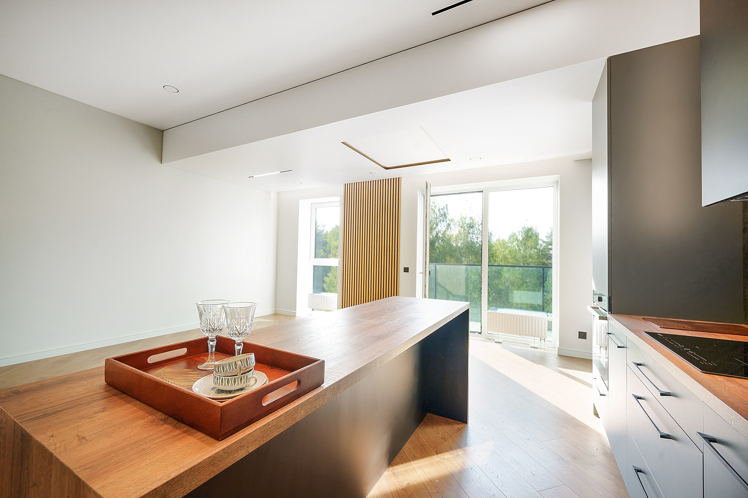 Butų, gyvenamųjų namų, komercinių patalpų fotografavimas. Elina Sapiega fotografė Vilniuje