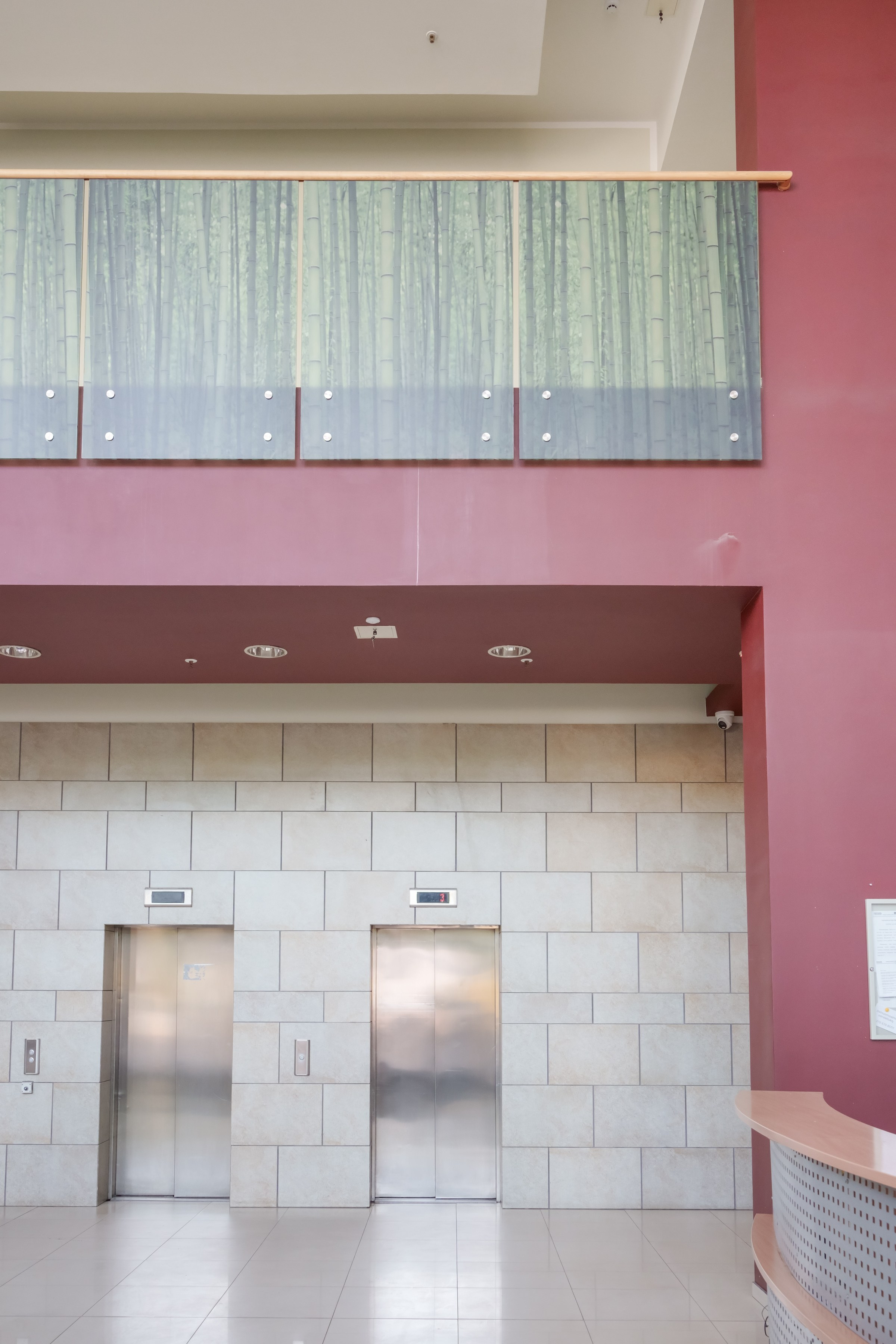 Savanorių g. 1. Elina Sapiega fotografė Vilniuje