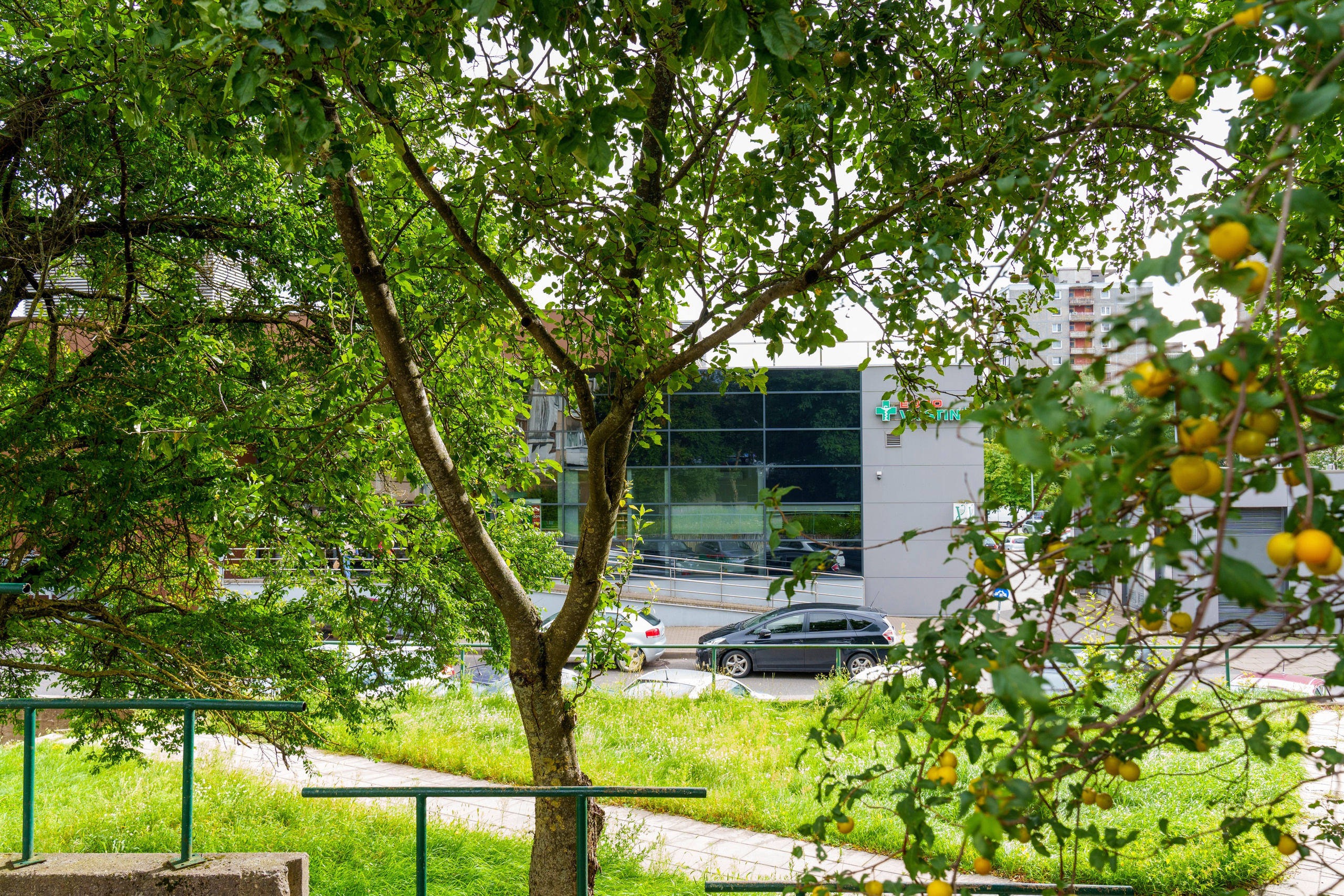 Viršuliškių g.28. Elina Sapiega fotografė Vilniuje