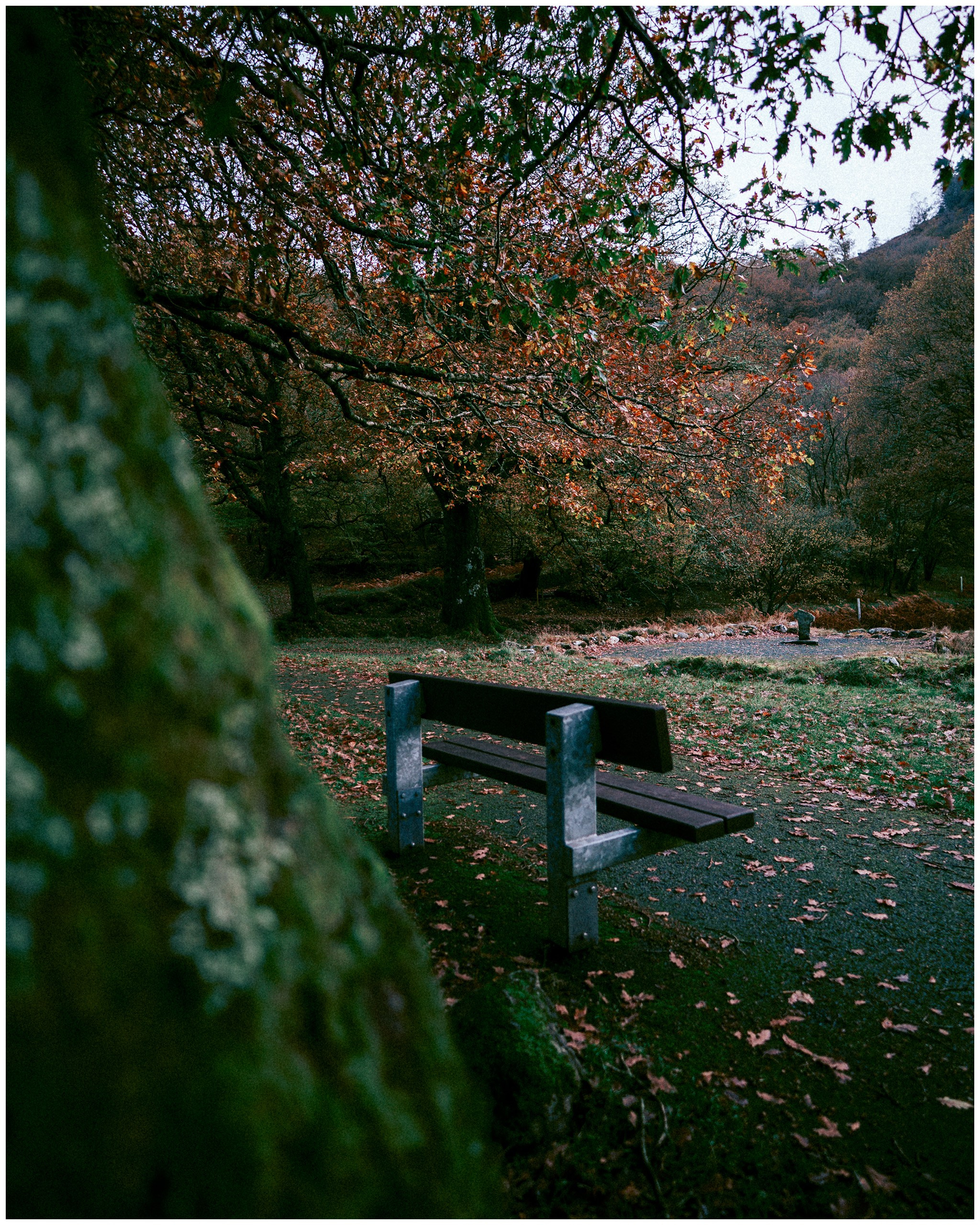 IRELAND. Inna Mendelson — Photographer