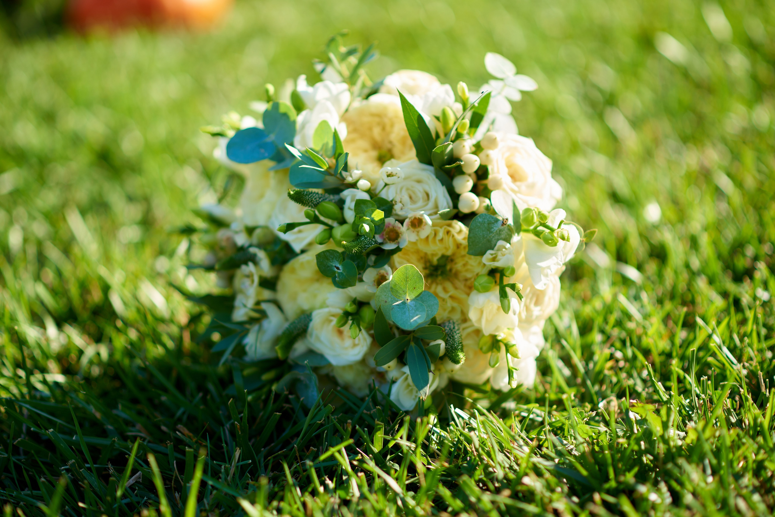 Foto nuntă. Fotograf de nuntă și de familie în Moldova