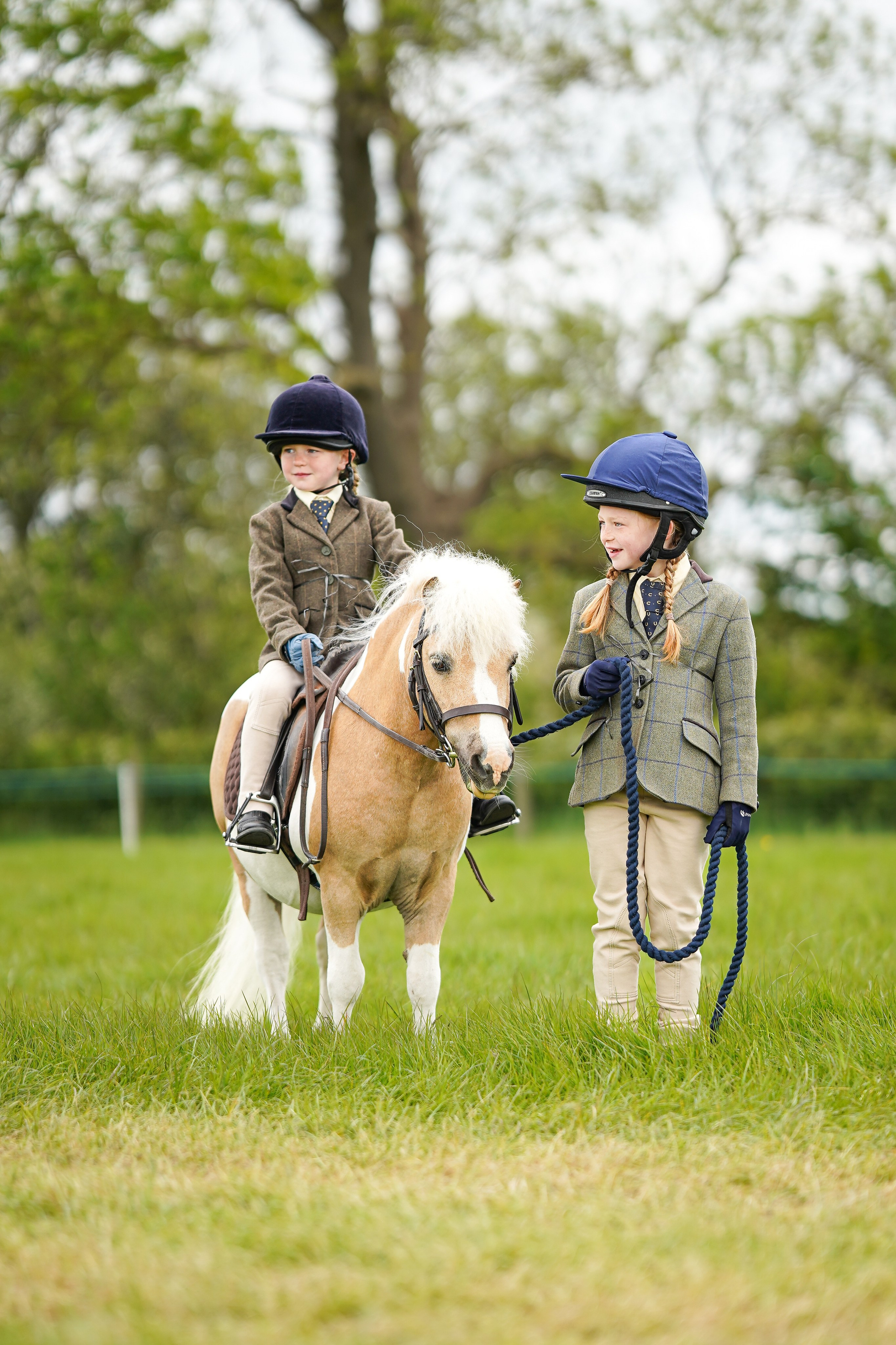 Showing. Leicestershire Equine Photography by El | Authentic Equine Portraits & Events