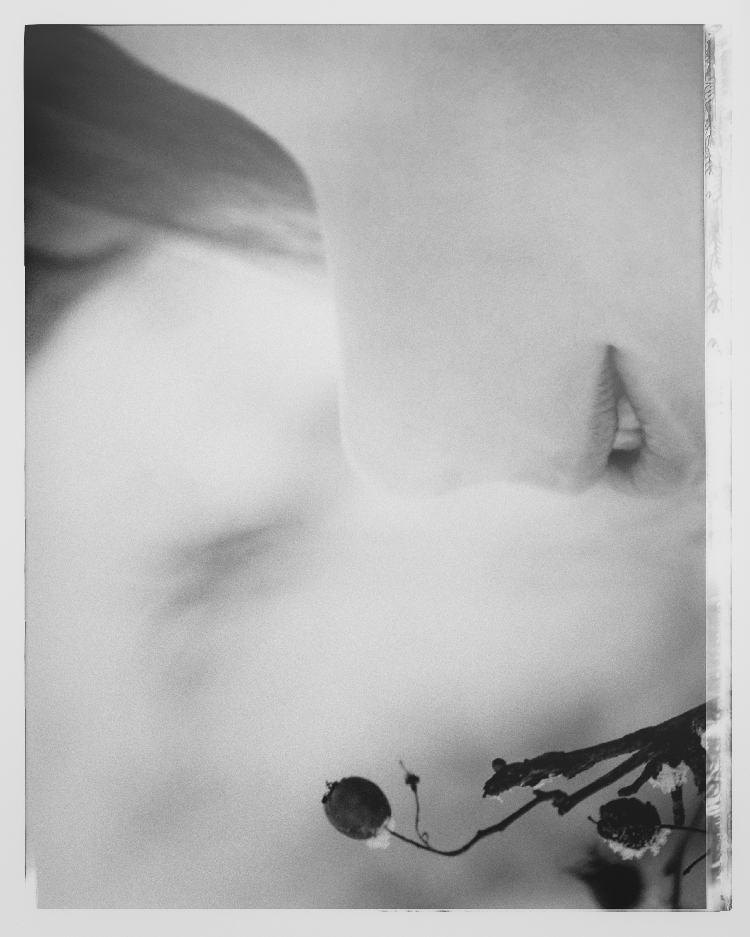 Эксперимент. Фотограф Андрей Друк