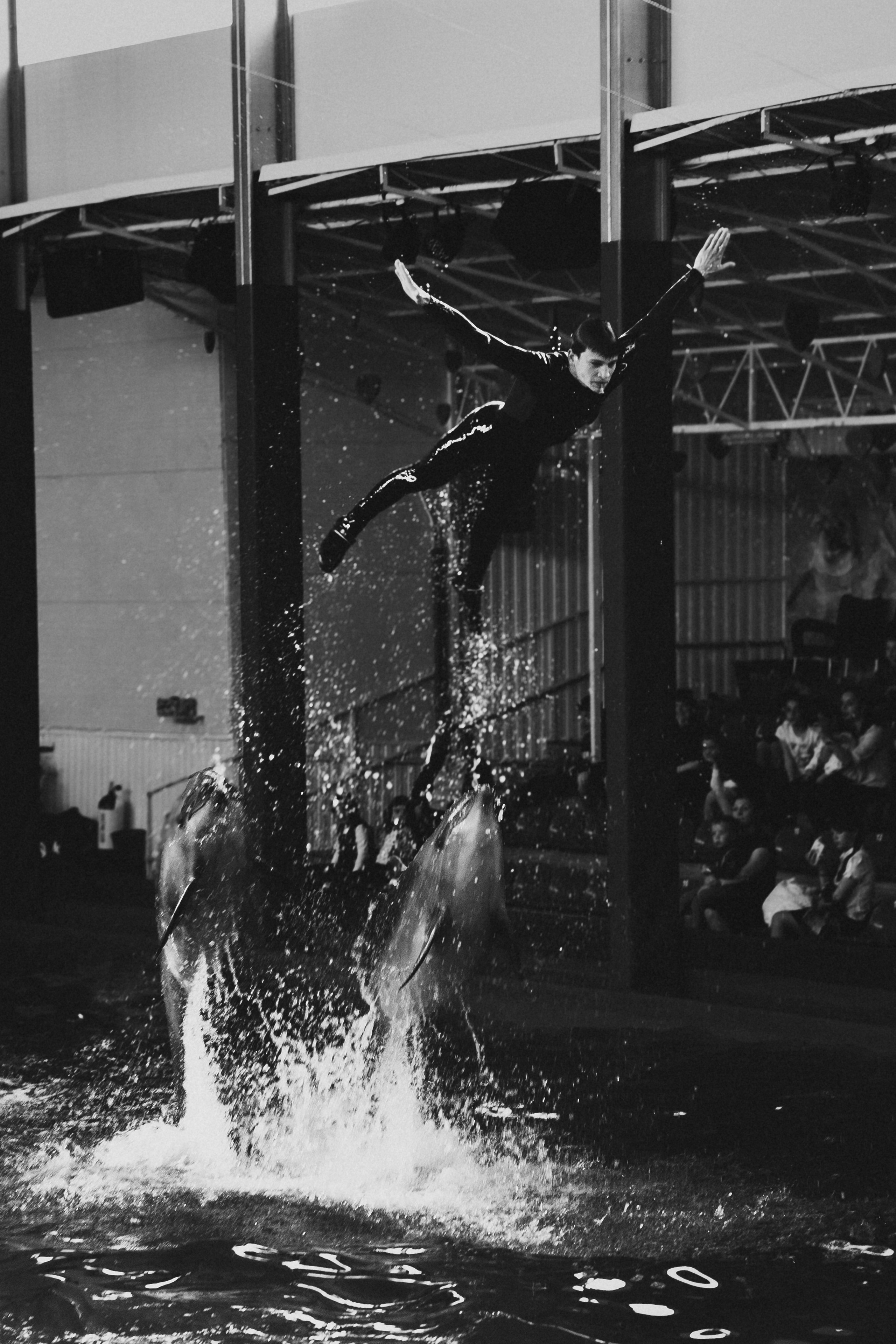 чёрно-белая  социальная фотография  «Доброе сердце» дельфины выталкивают дрессировщика полет прыжок вода брызги