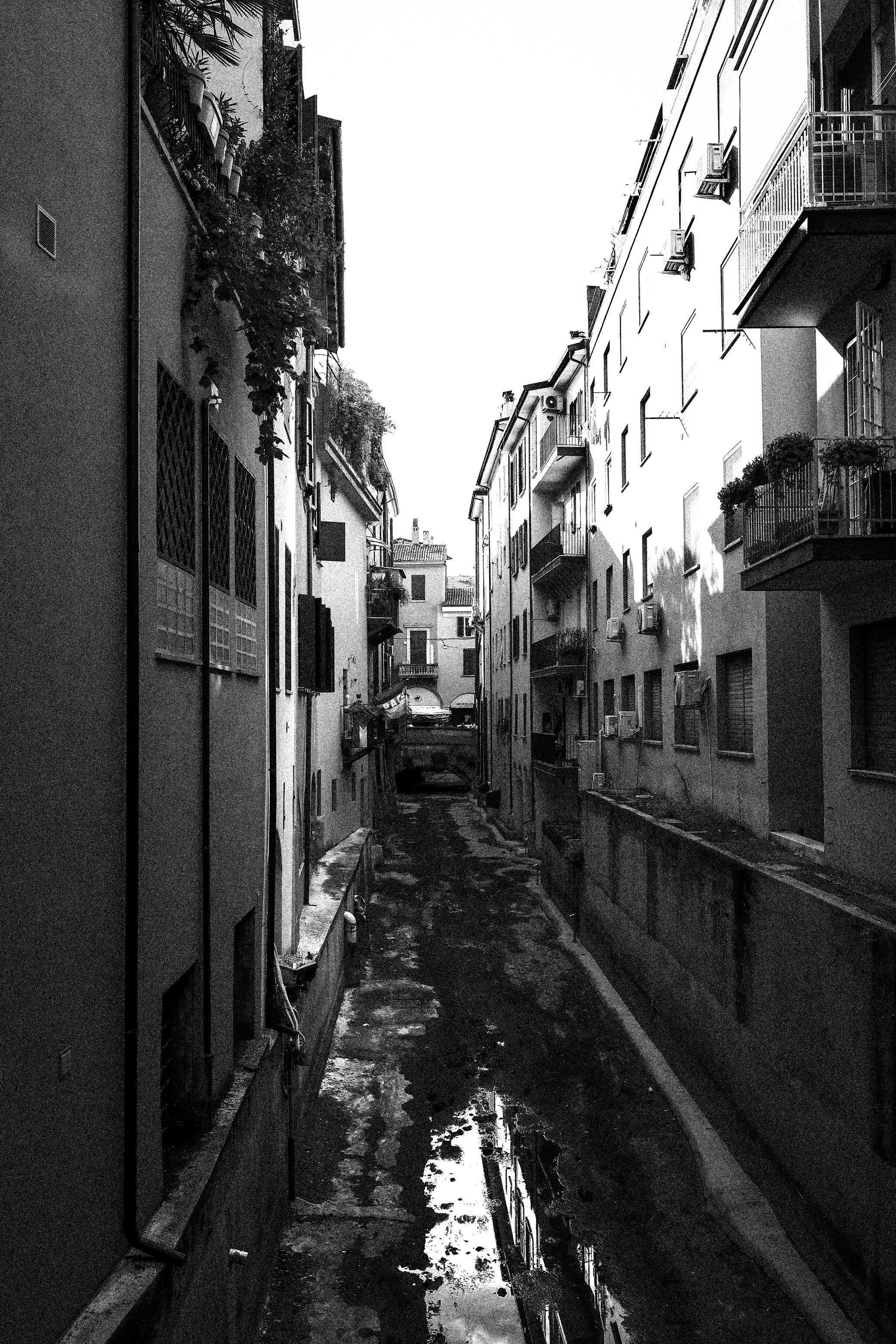 BNW Around Photography