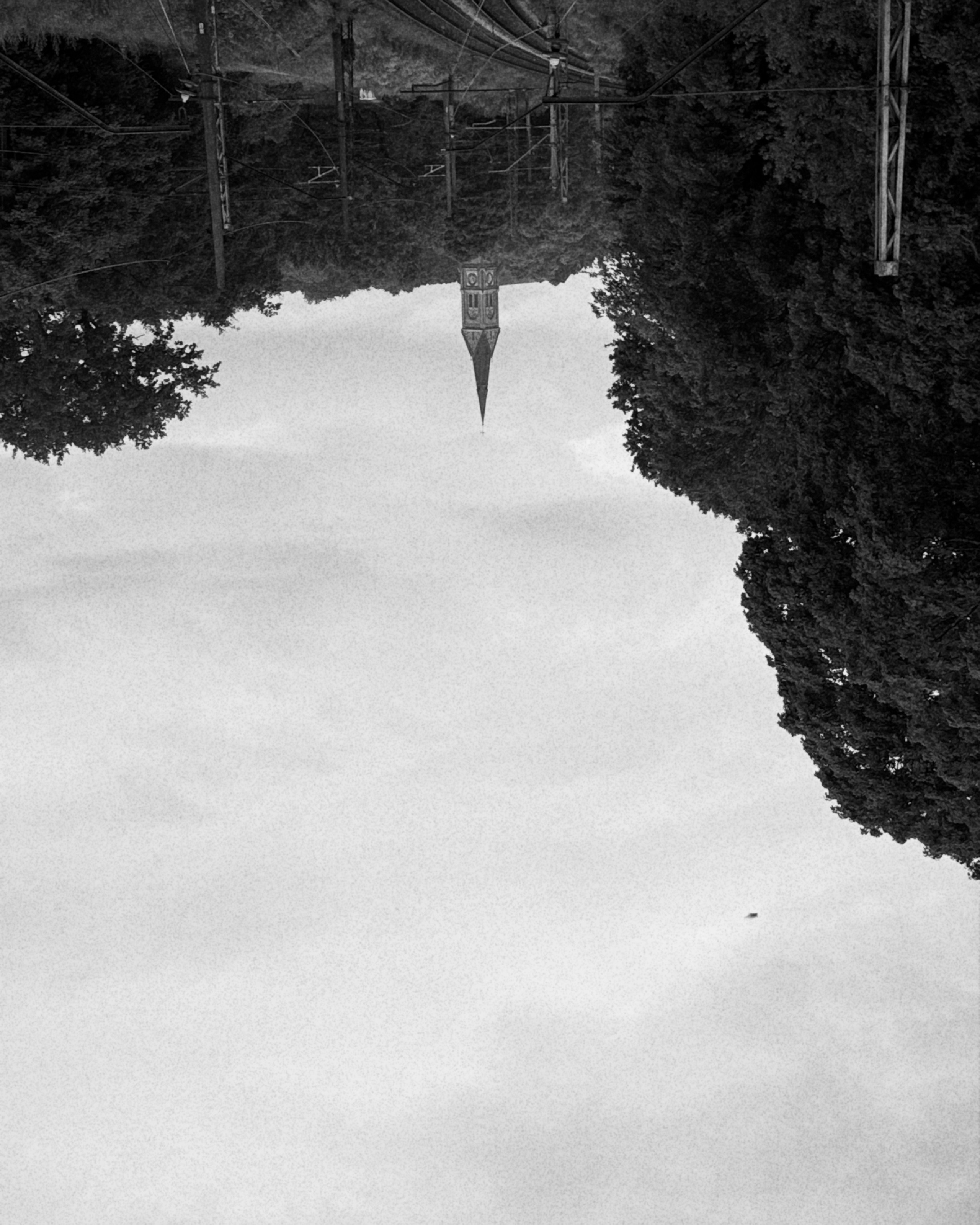 Velo Foto diena