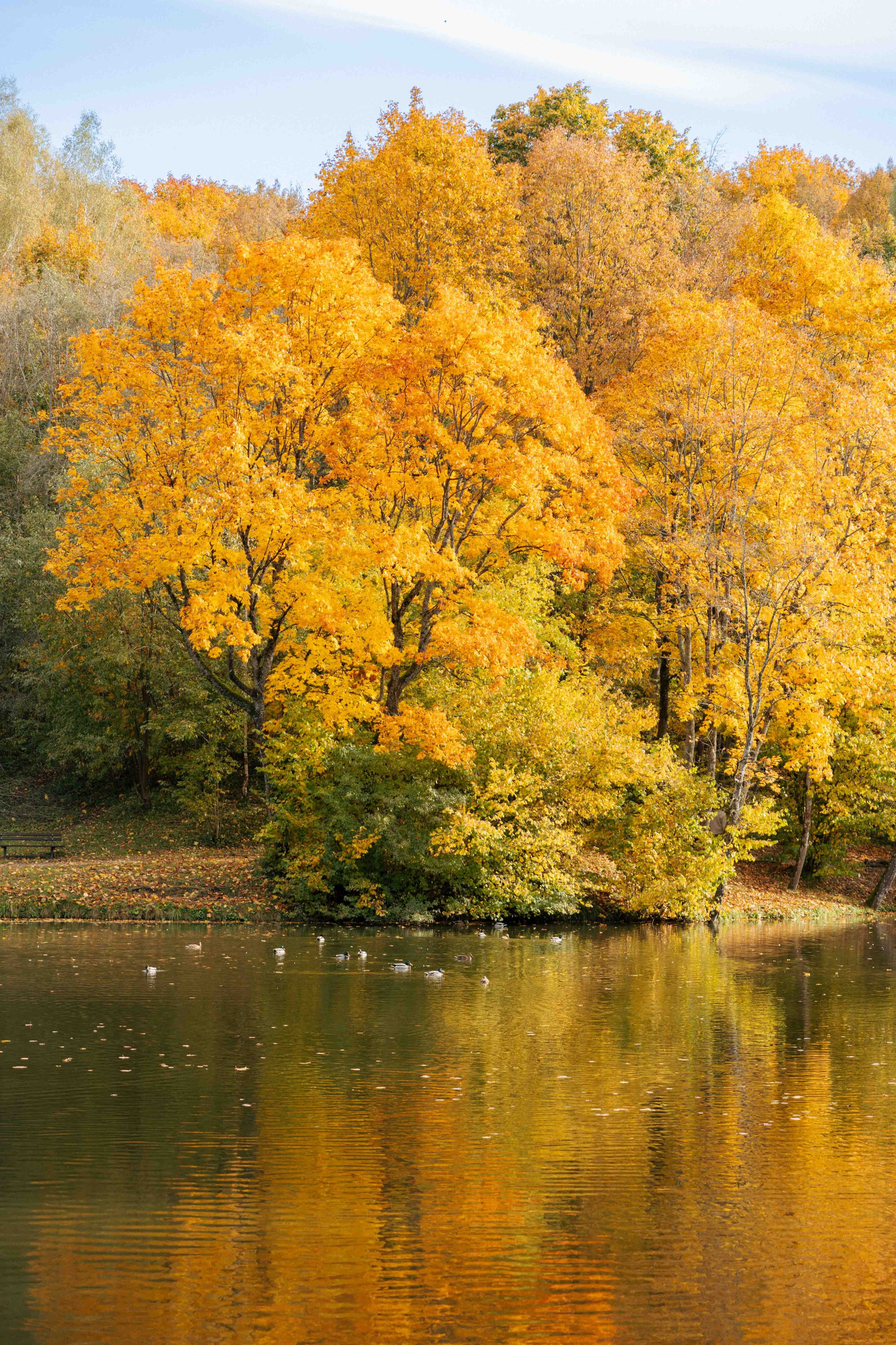 Best Autumn Photoshoot Locations in Vilnius: Top Spots to Capture the Fall Colors. Framed by Evelina | Destination Wedding Photographer from Lithuania | Europe