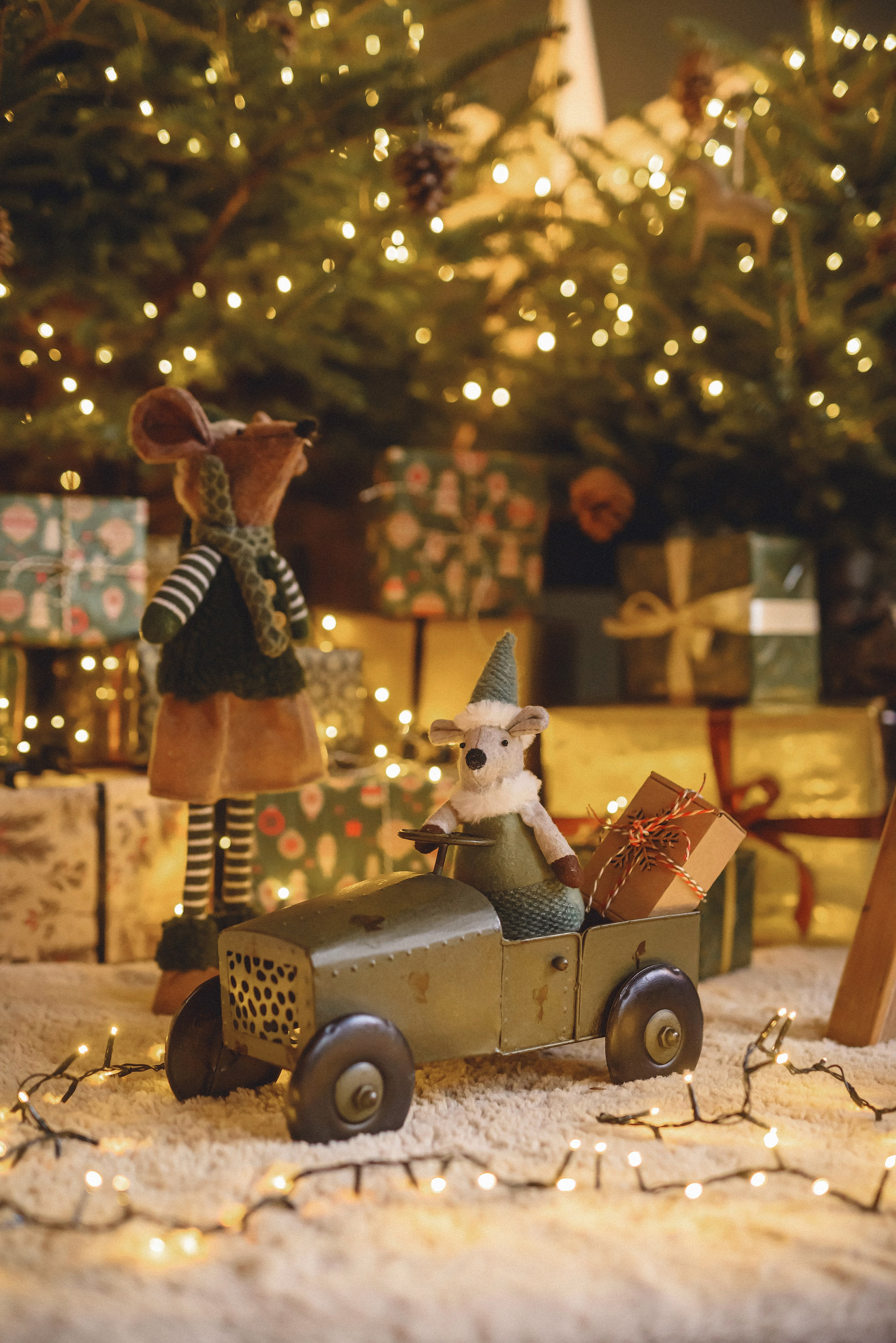 Studija. Fotogrāfs Rīgā. Gīmenes, individuālās un dažādu produktu fotosesijas