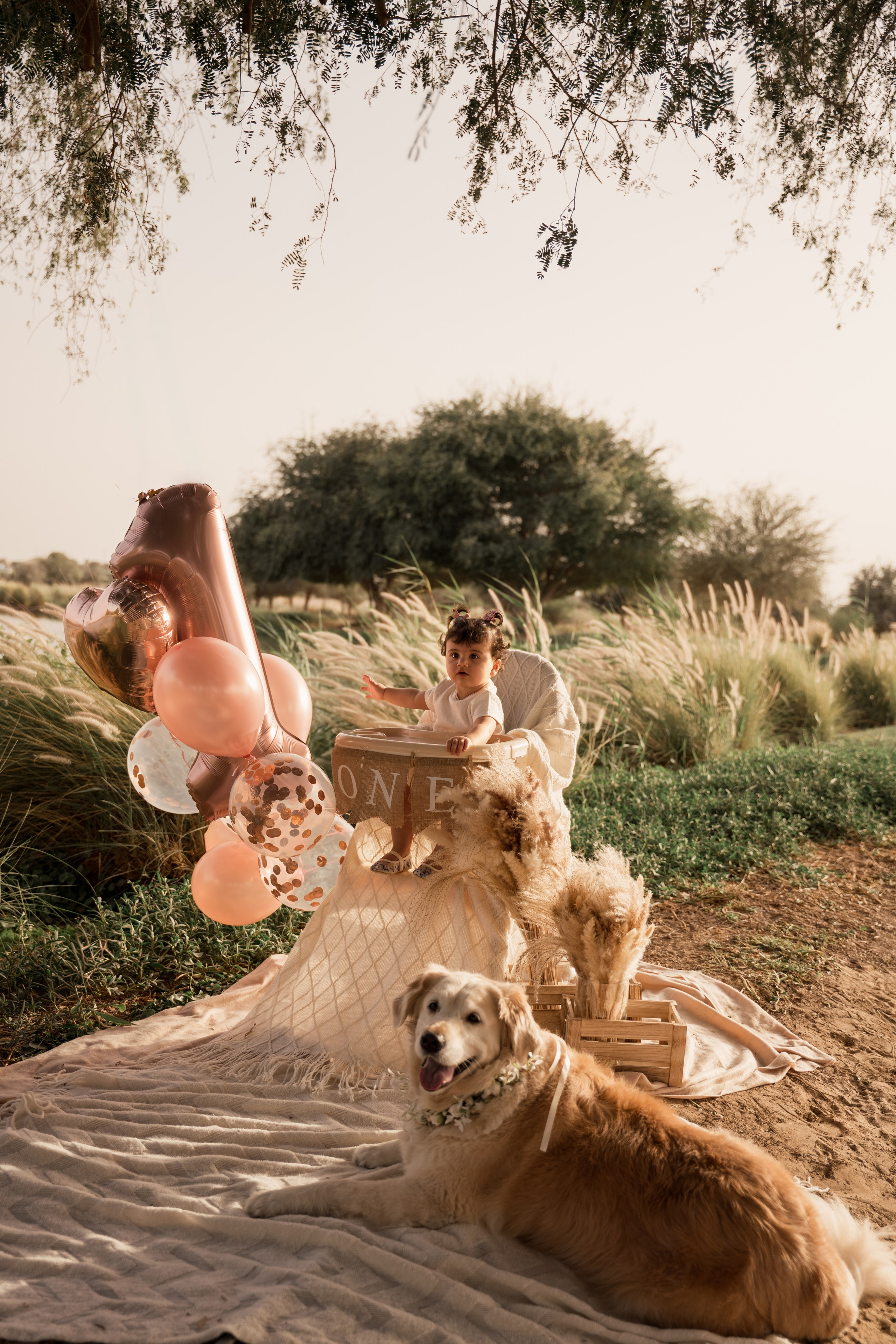 One-derful celebration!. Angela Iakovleva — Family Photographer in Dubai