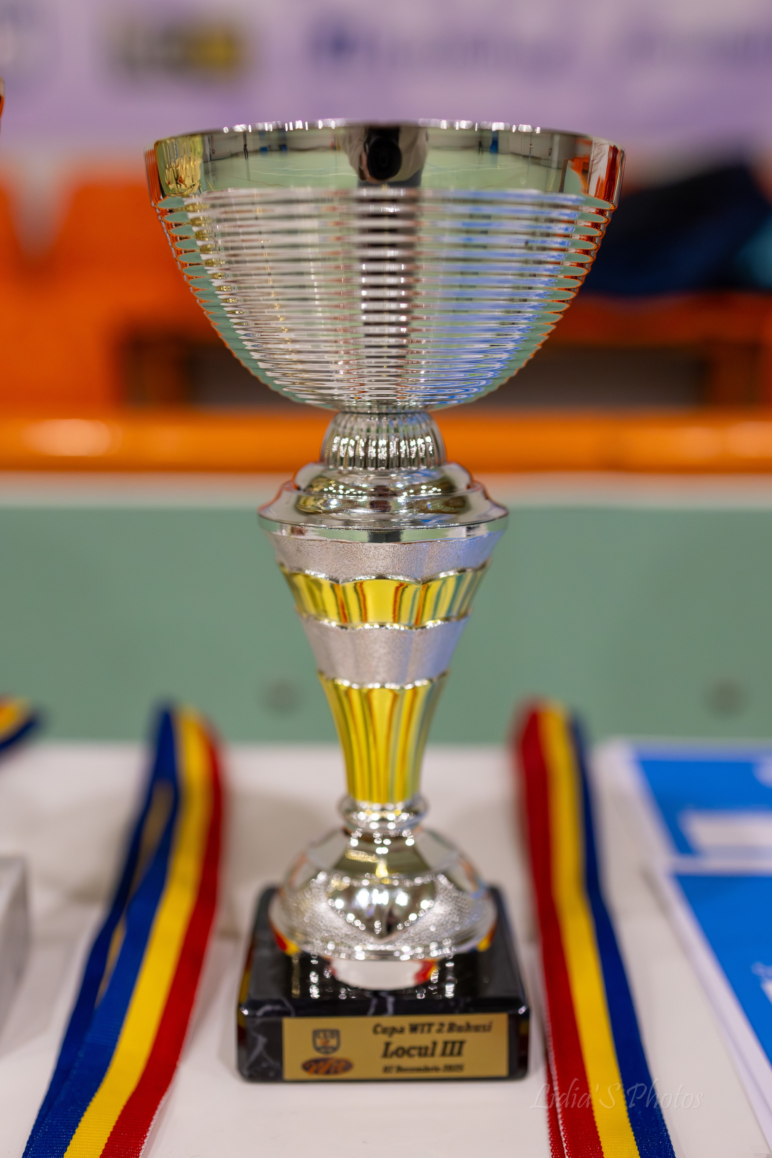 Turneu tenis de camp în sală. Fotograf. Lucrez cu oameni, produse și spații. Portret și fotografie creativă. Bacău, România. Lidia Savinoiu