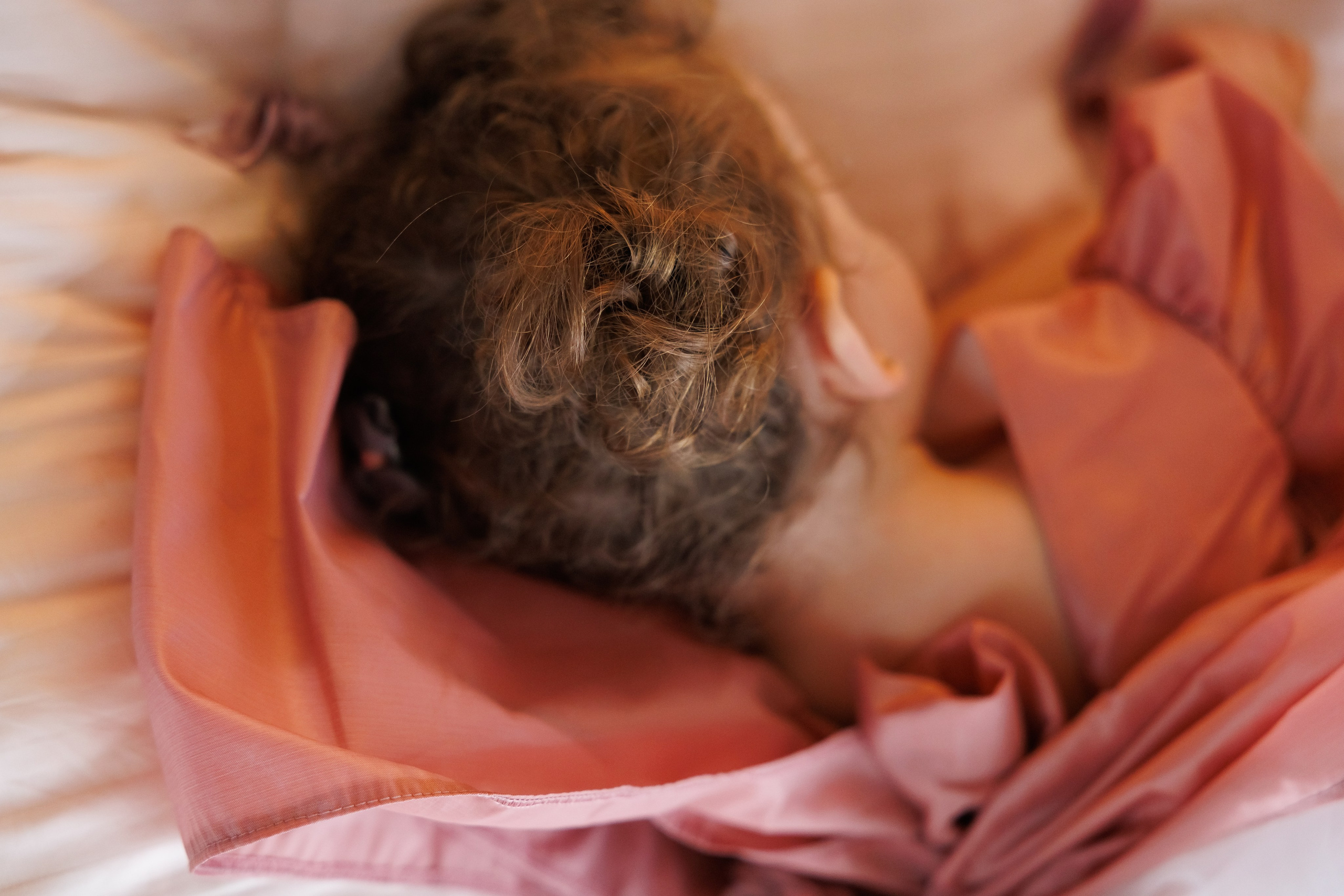 Честит 8 Март. Фотограф Ирина Йотова