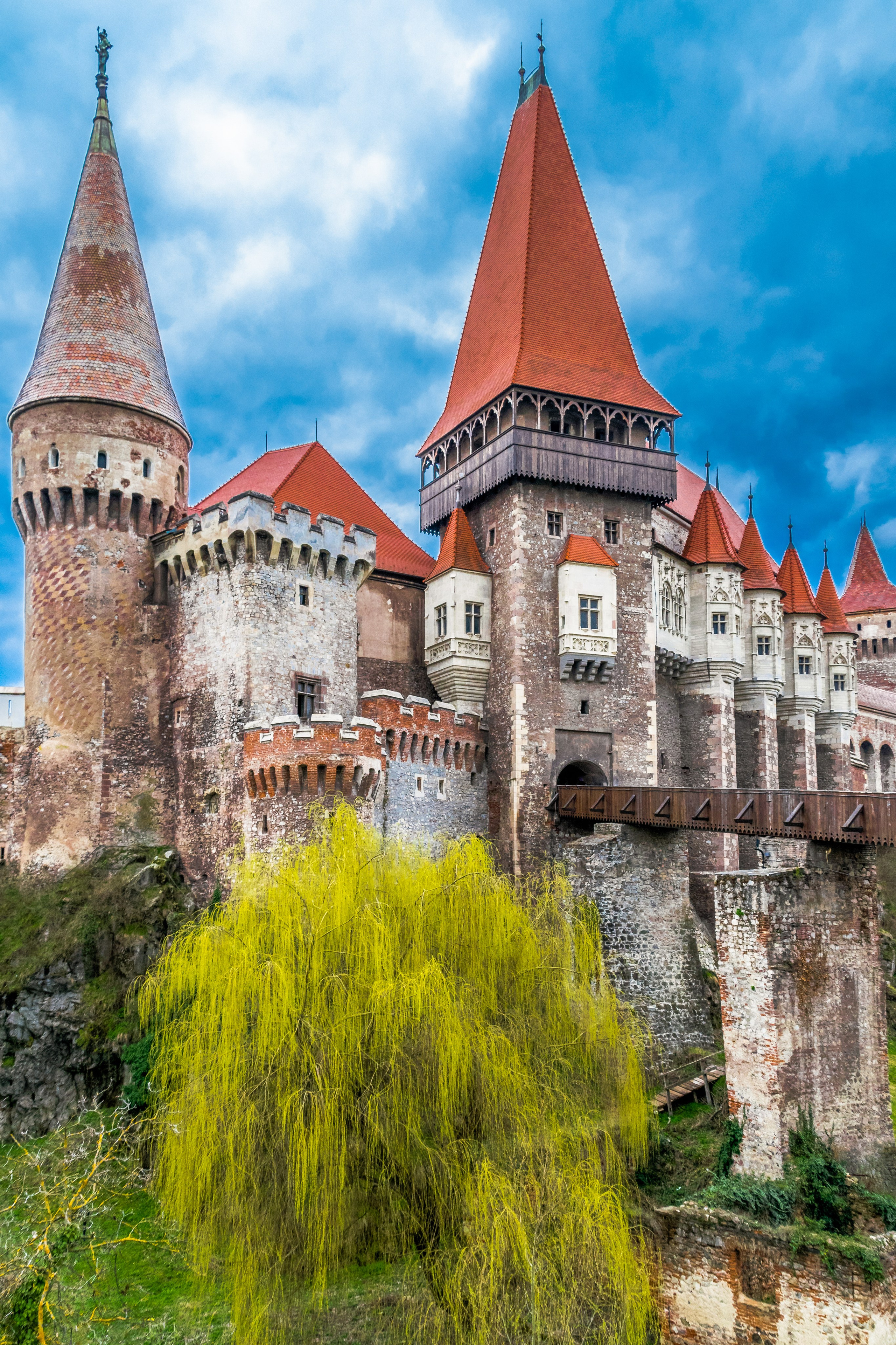 Călătorie. Daniel Hașiegan