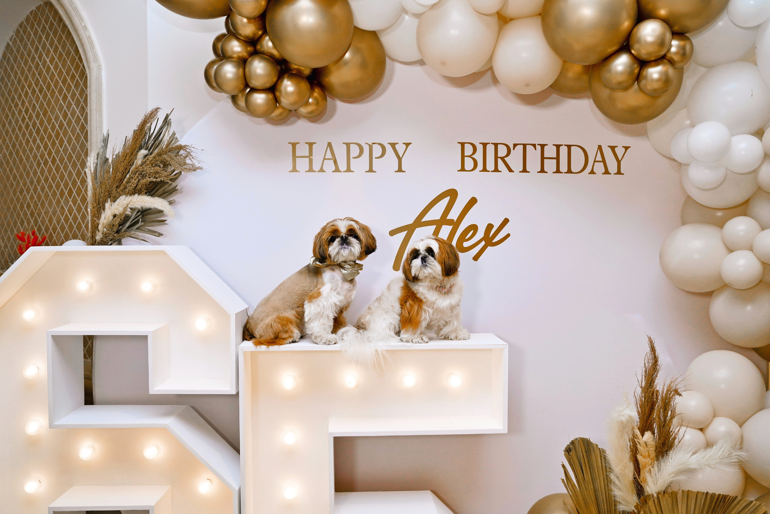 Miami Event Photographer | Ksenia Derzkaya