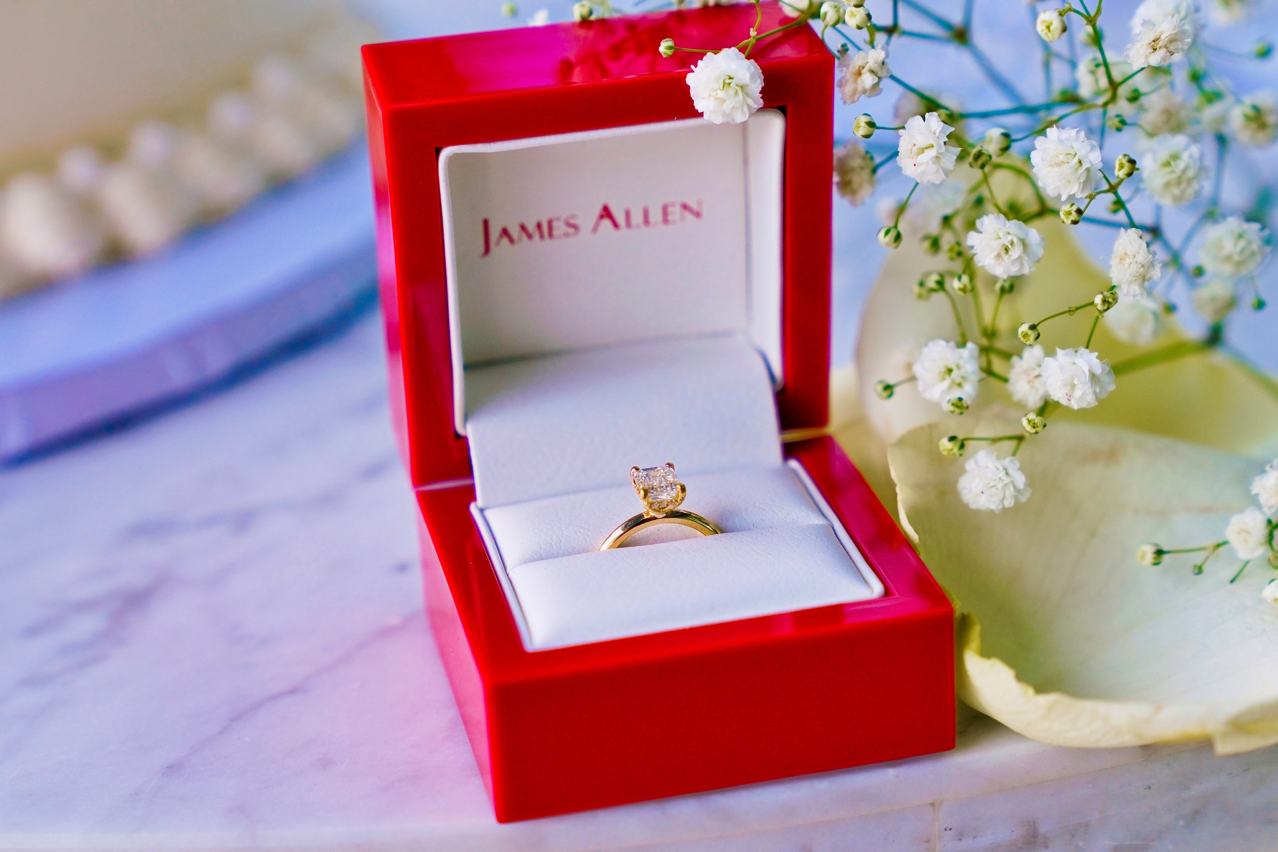 Miami Proposal Photographer | Ksenia Derzkaya