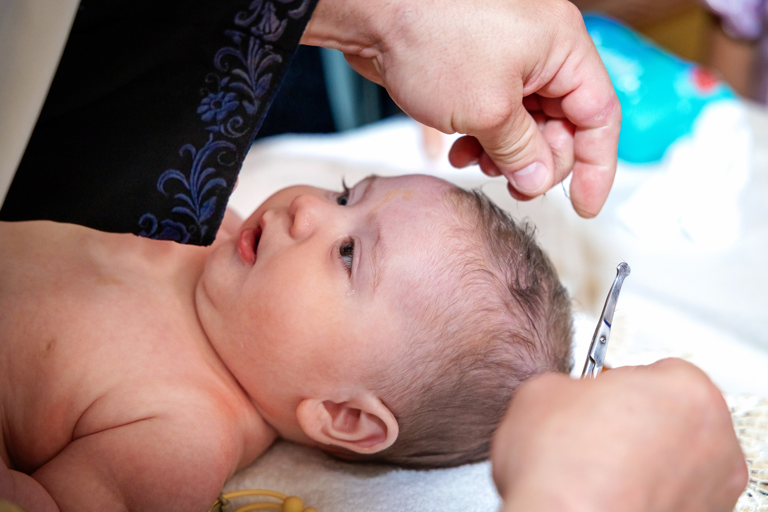 Andrei Damian. Moments By Gub