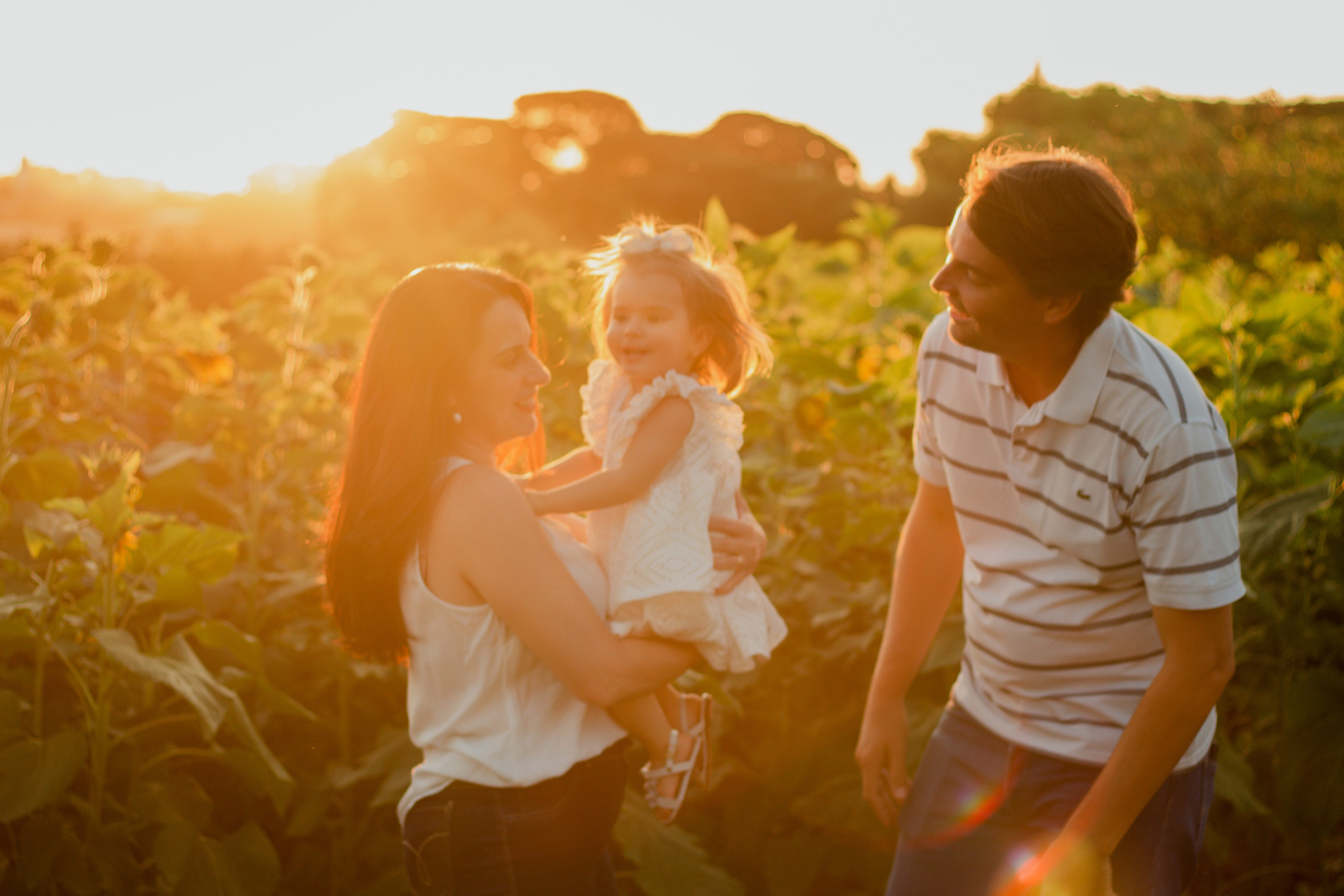 Família brincando com criança no campo de girassóis em Holambra durante o pôr do sol, em ensaio fotográfico natural e afetuoso.