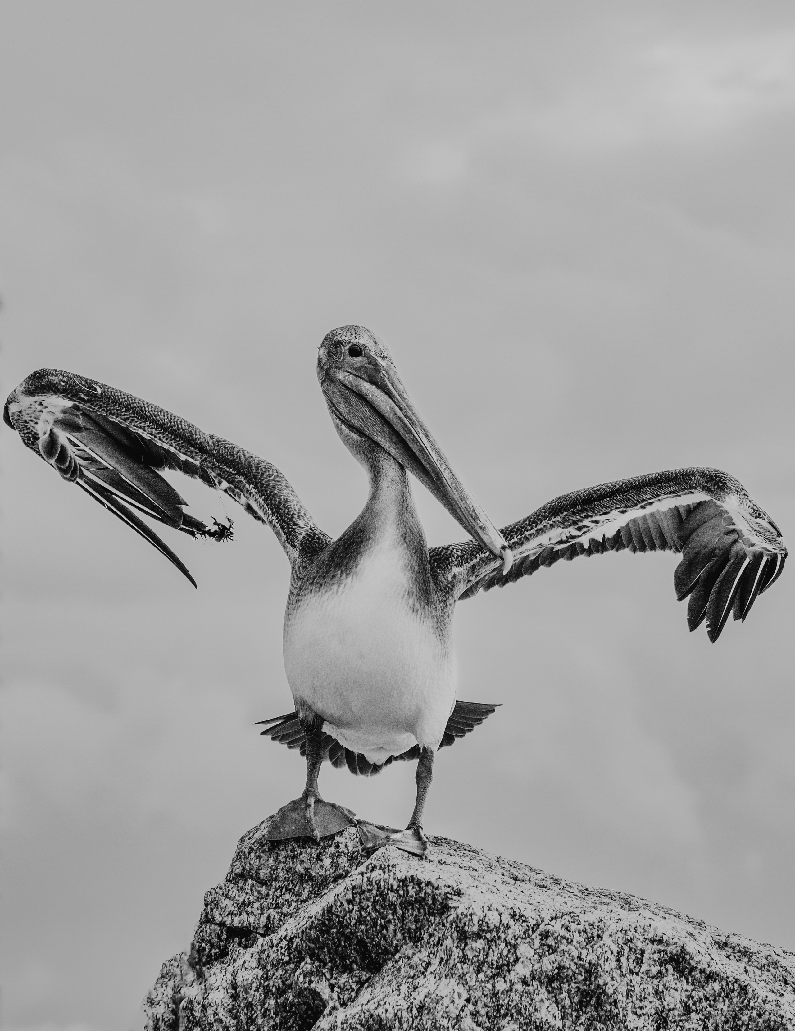 Главная. Art photographer Miami