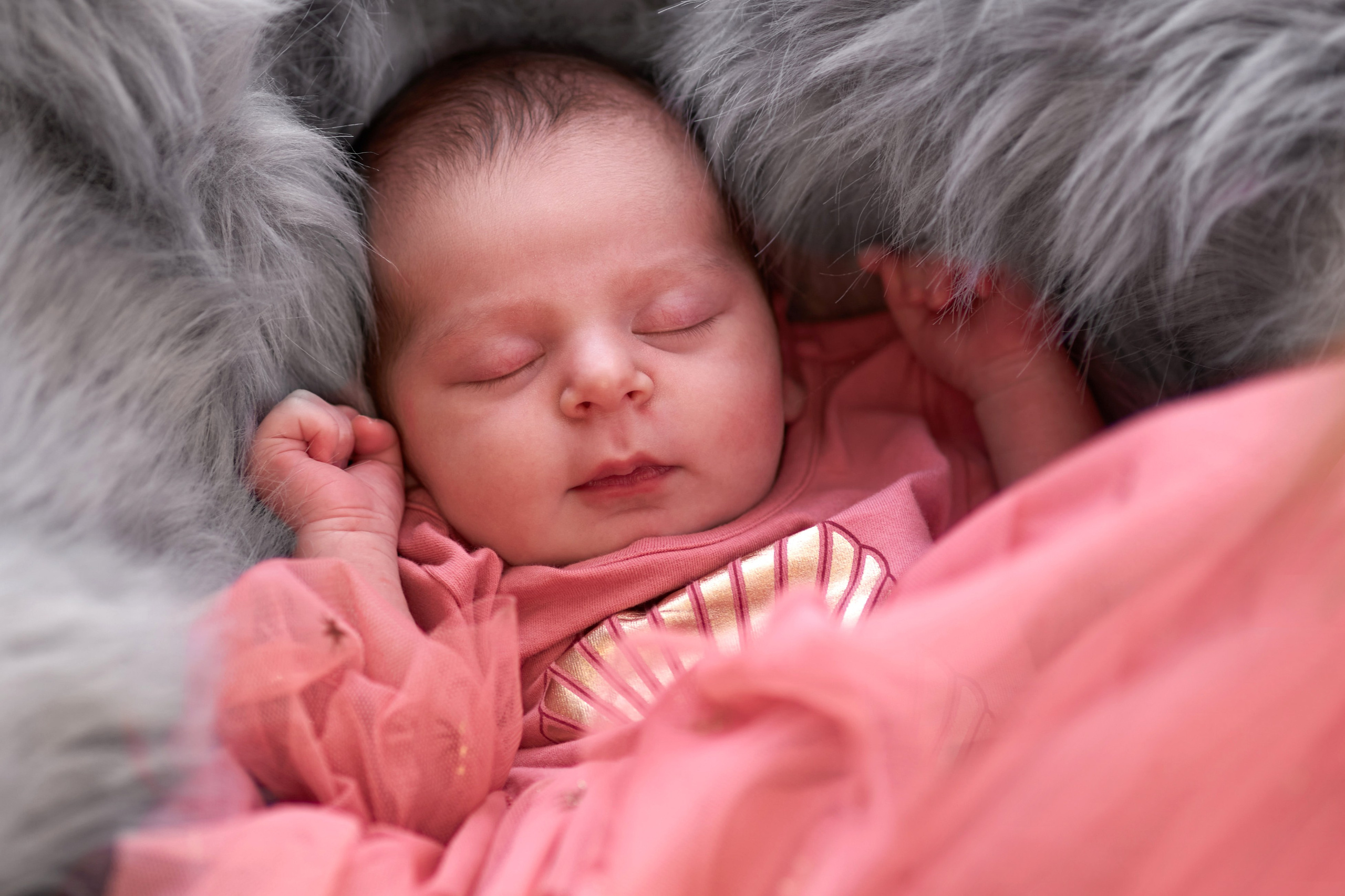 Newborn — Mia. צלם אלכס ברט בישראל