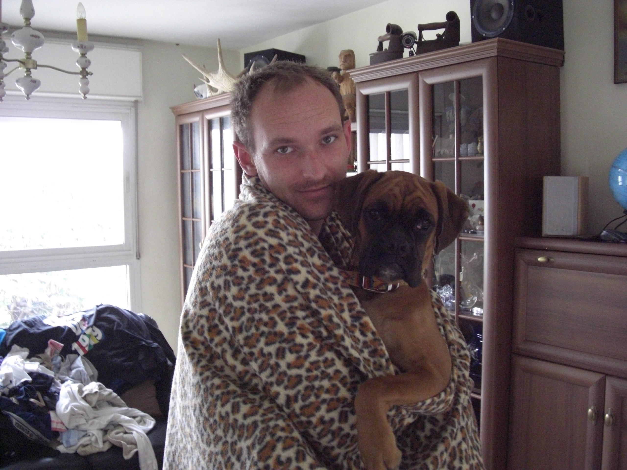 My ״Star״ Boxer Dog