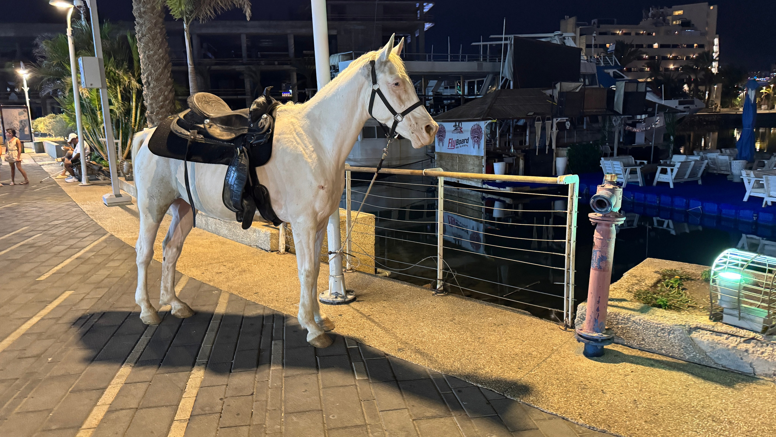 Everything from everything