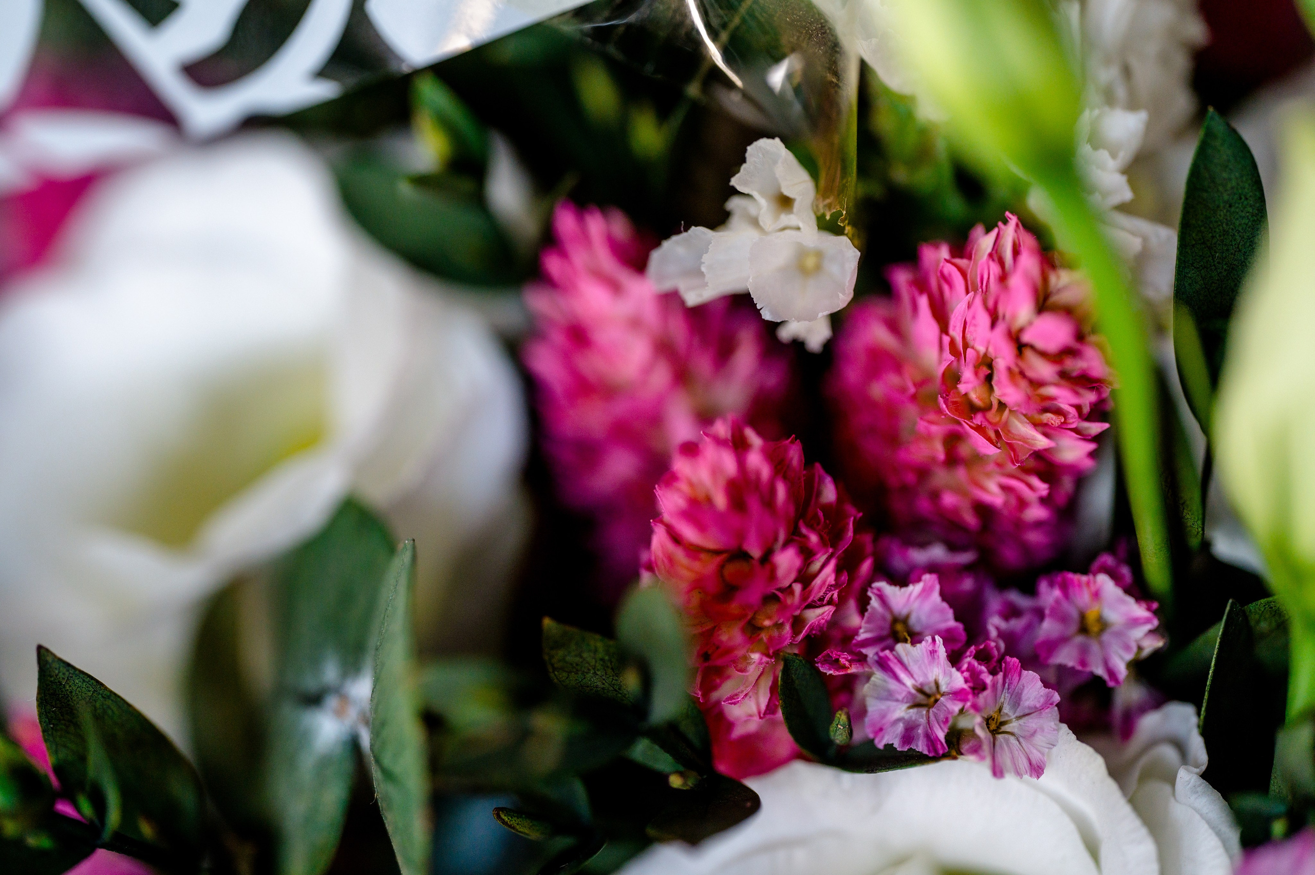 BYZO MEDIA. PETRU BYZO - family and children photographer in ROMANIA