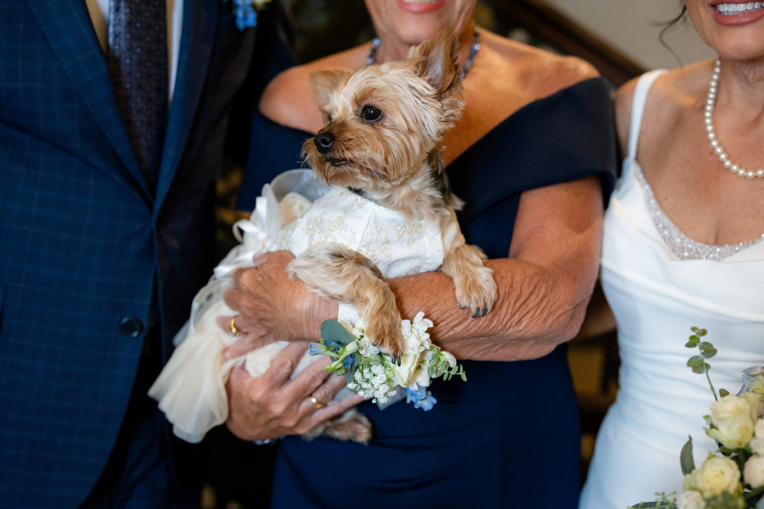 Westin Poinsett Wedding in Downtown Greenville | Brooke & Mike’s Elegant City Celebration. Wedding and portrait photography in Greenville SC