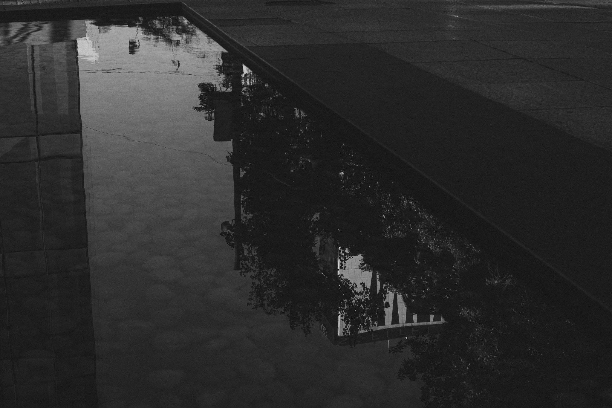 Gigi & Luis. Wedding and family photographer in Mexico City