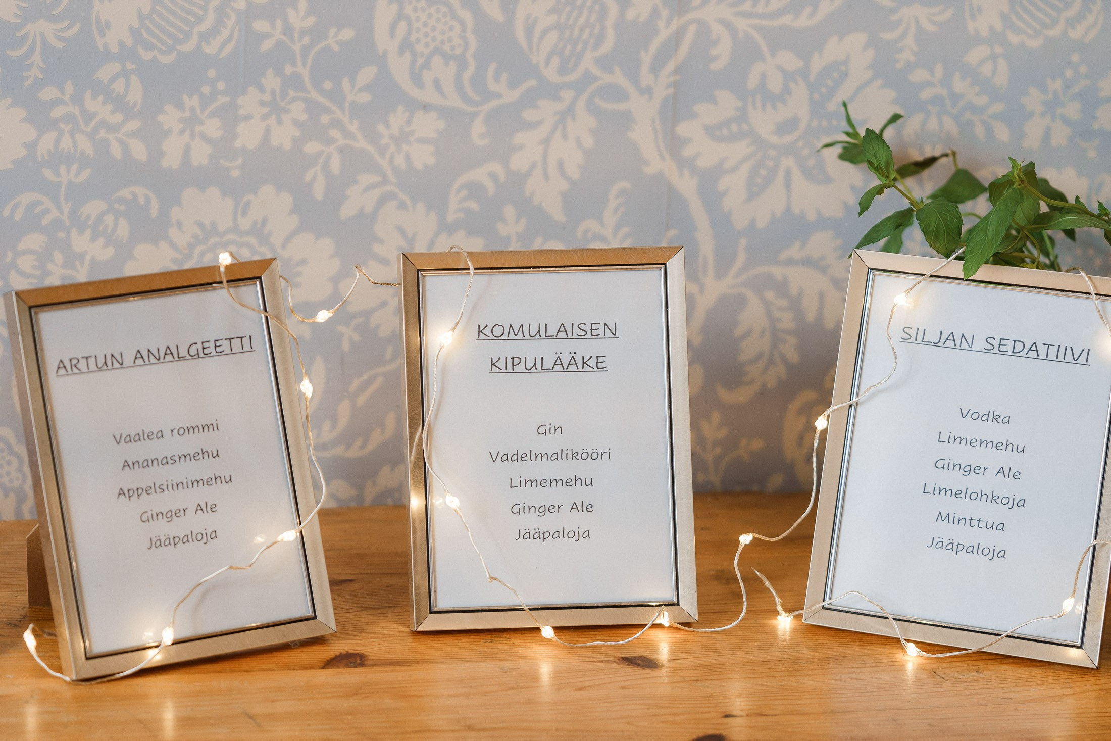 Silja&Arttu, hääkuvaus Sipoossa