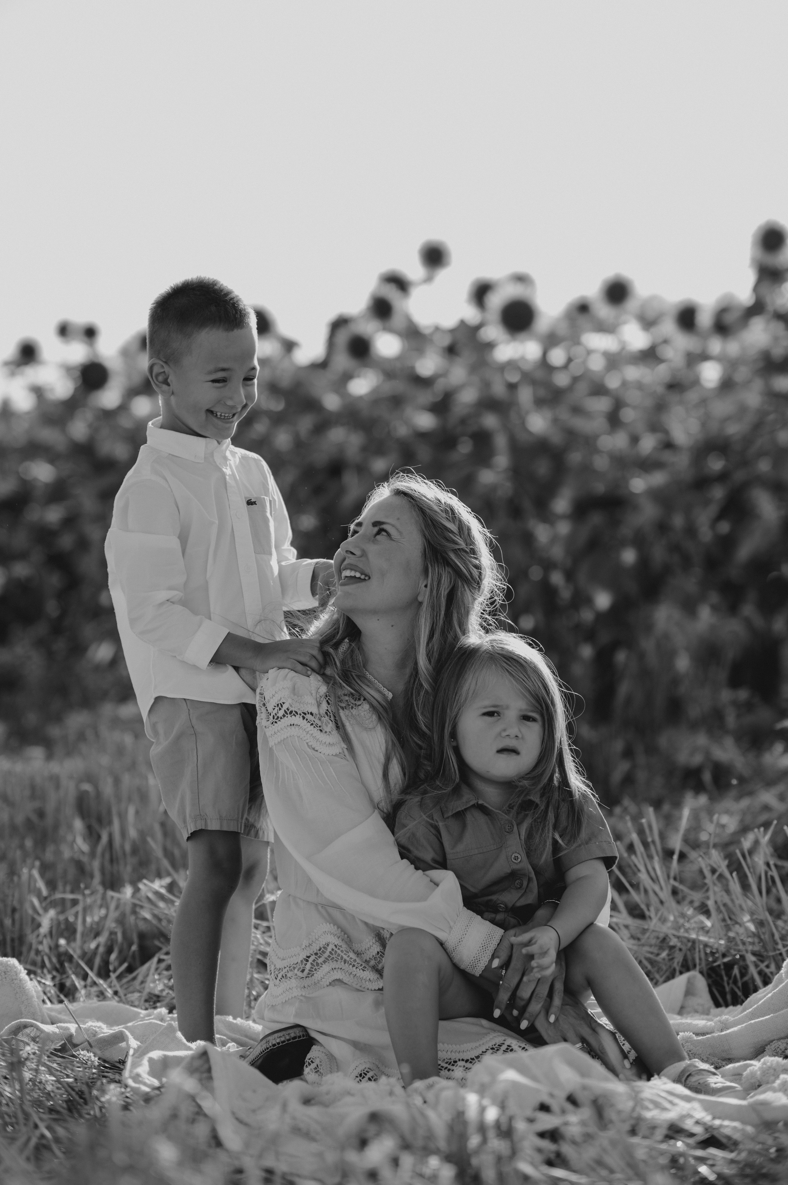 Polje suncokreta. Ana Sladojevic