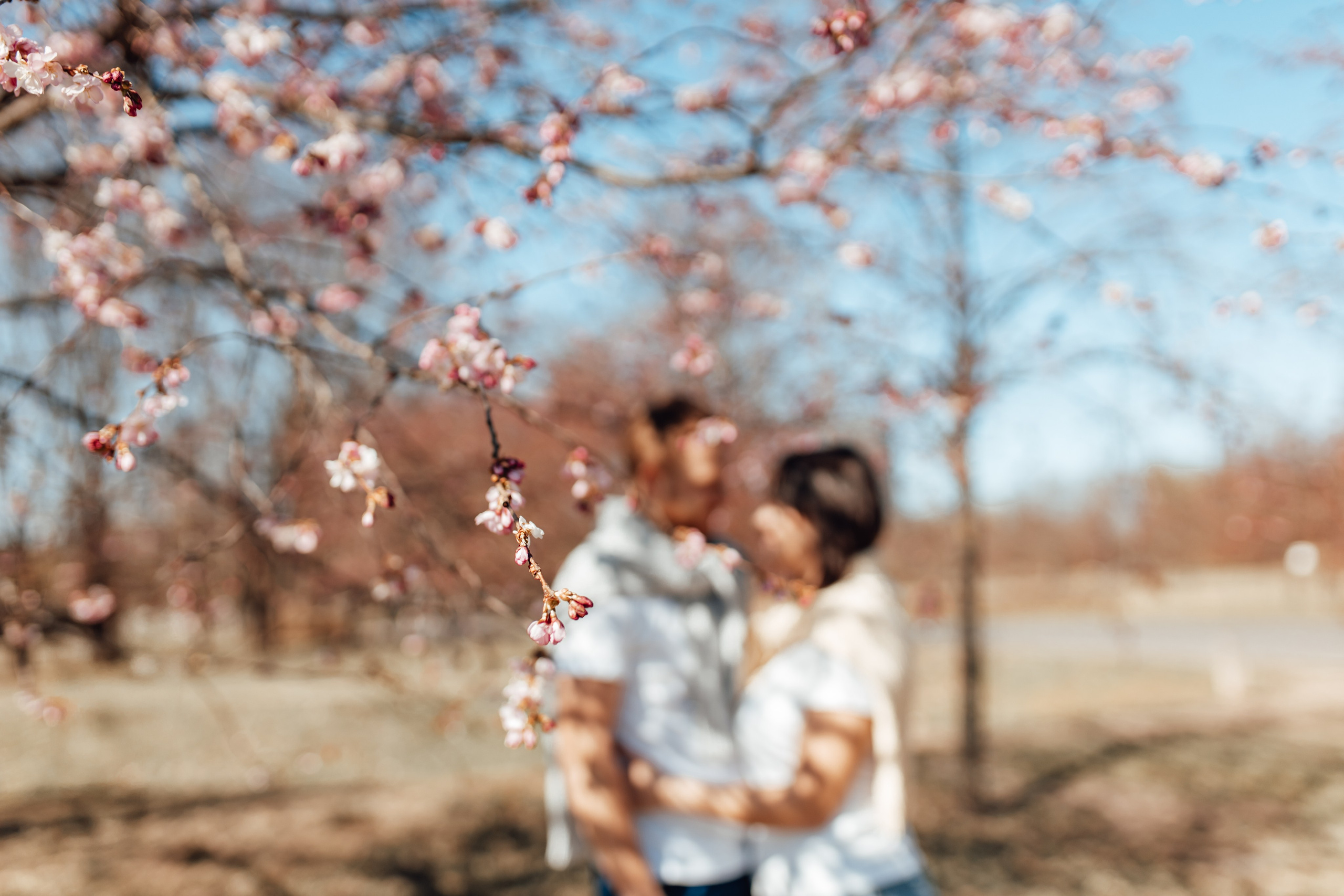 Fotogrāfe Zane Stulpiņa